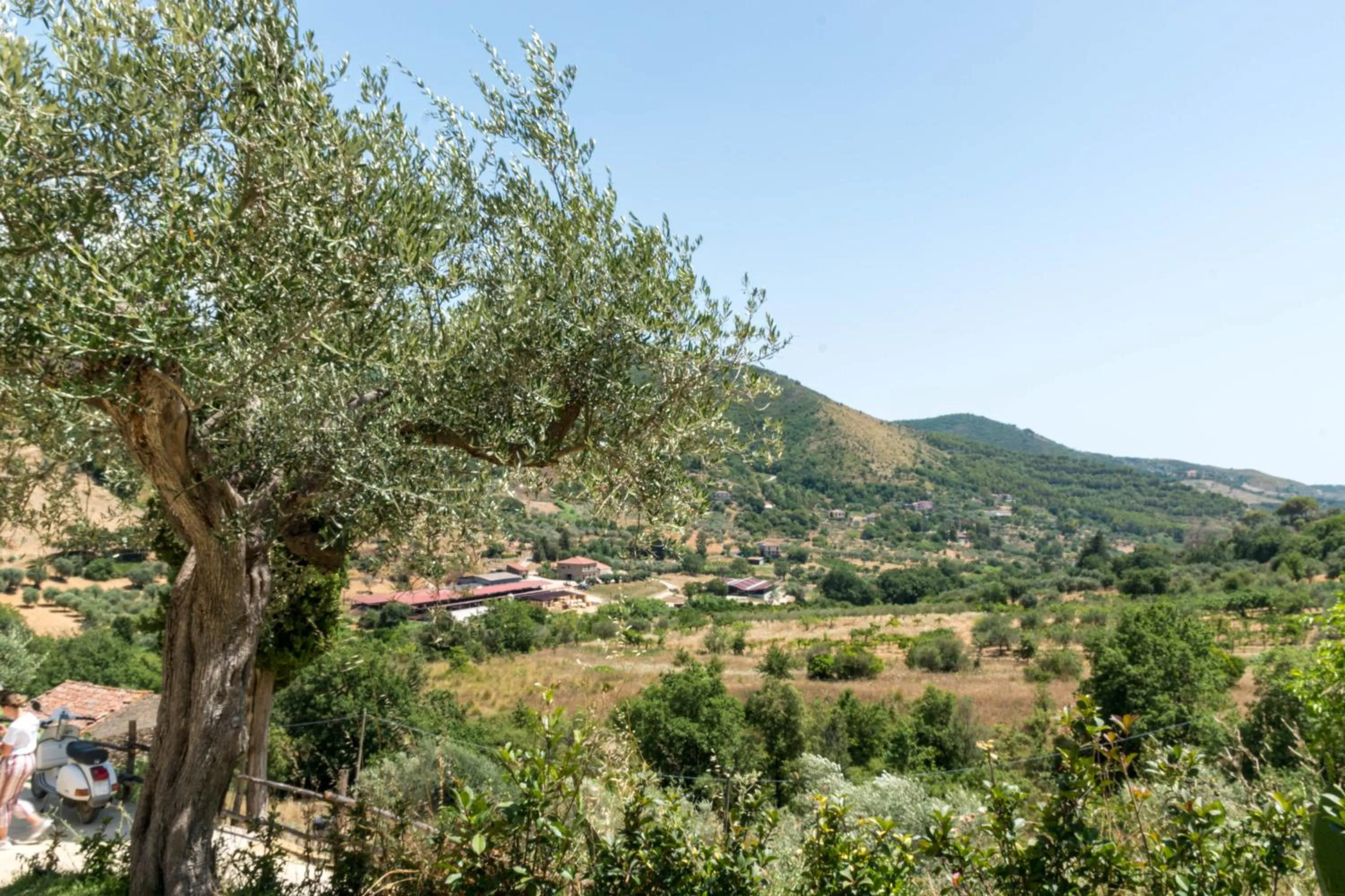 Natural landscape in Country House L'antica pietra