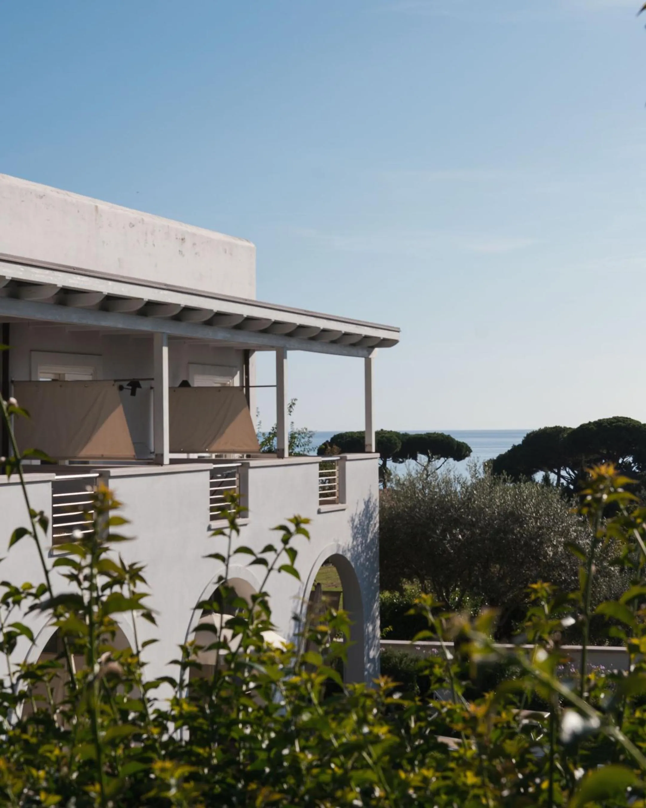 Balcony/Terrace in Hotel Grotta Di Tiberio