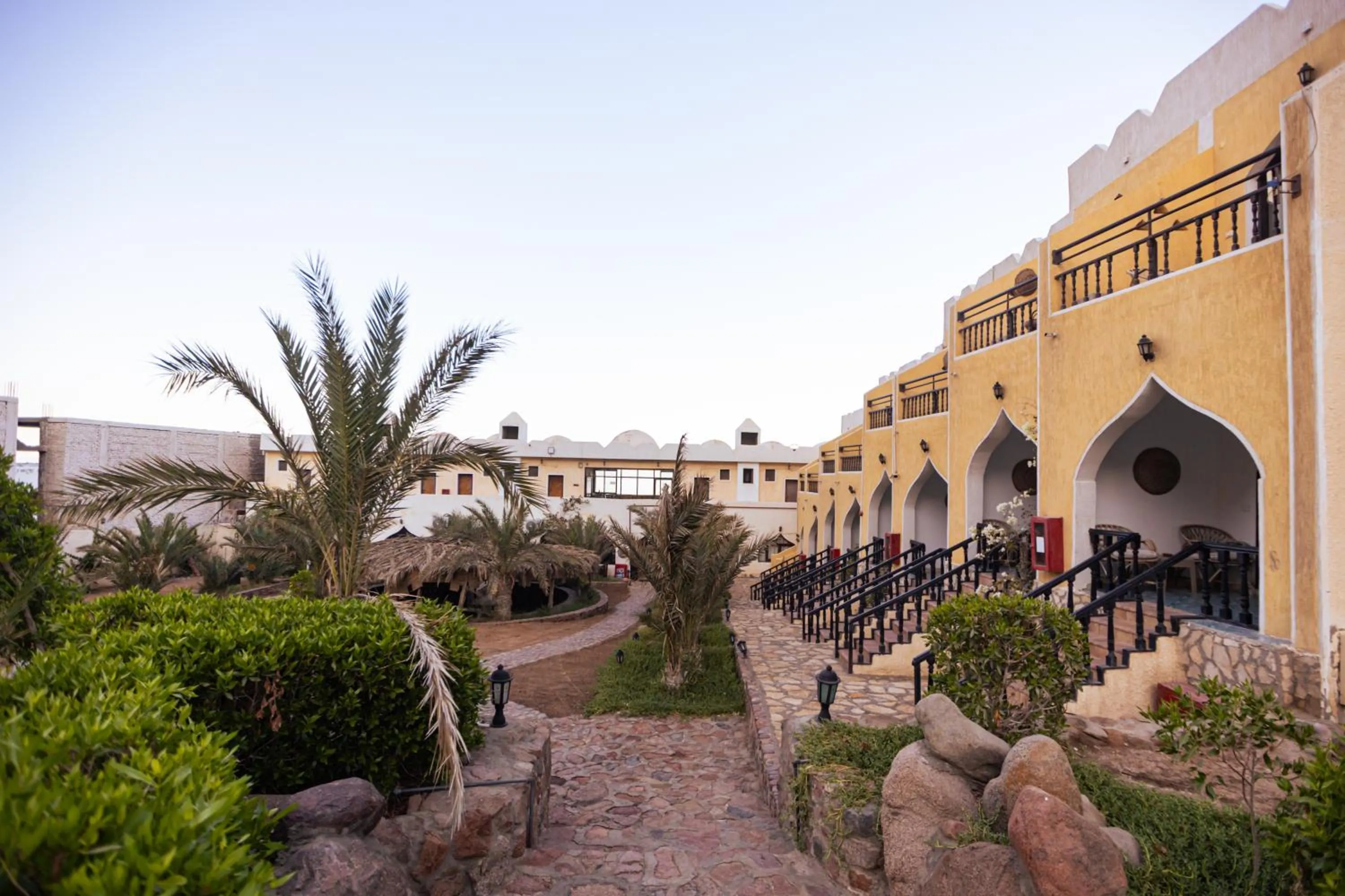 Garden in The Bedouin Moon