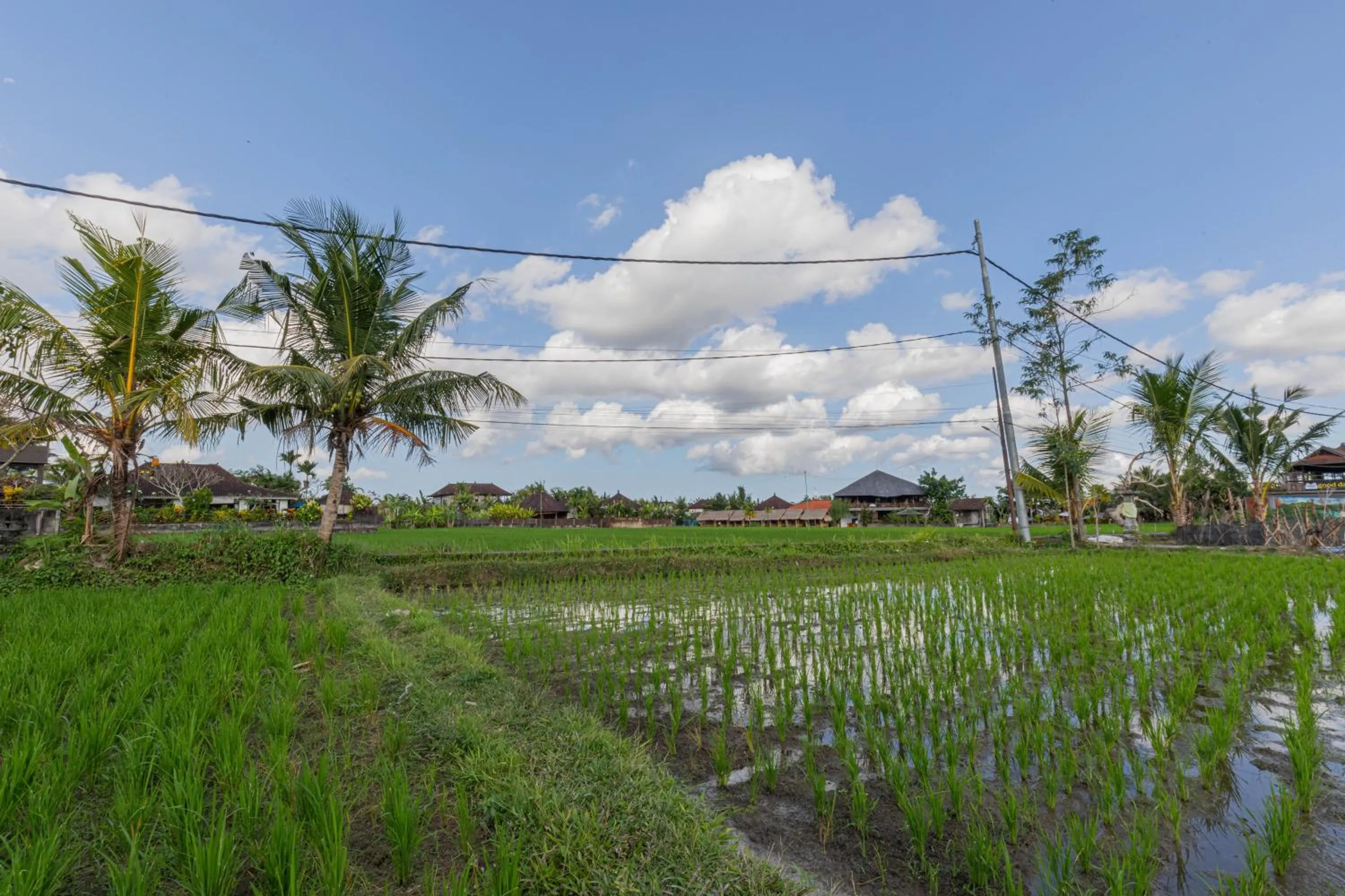 Other in NILUH Private Villas Ubud