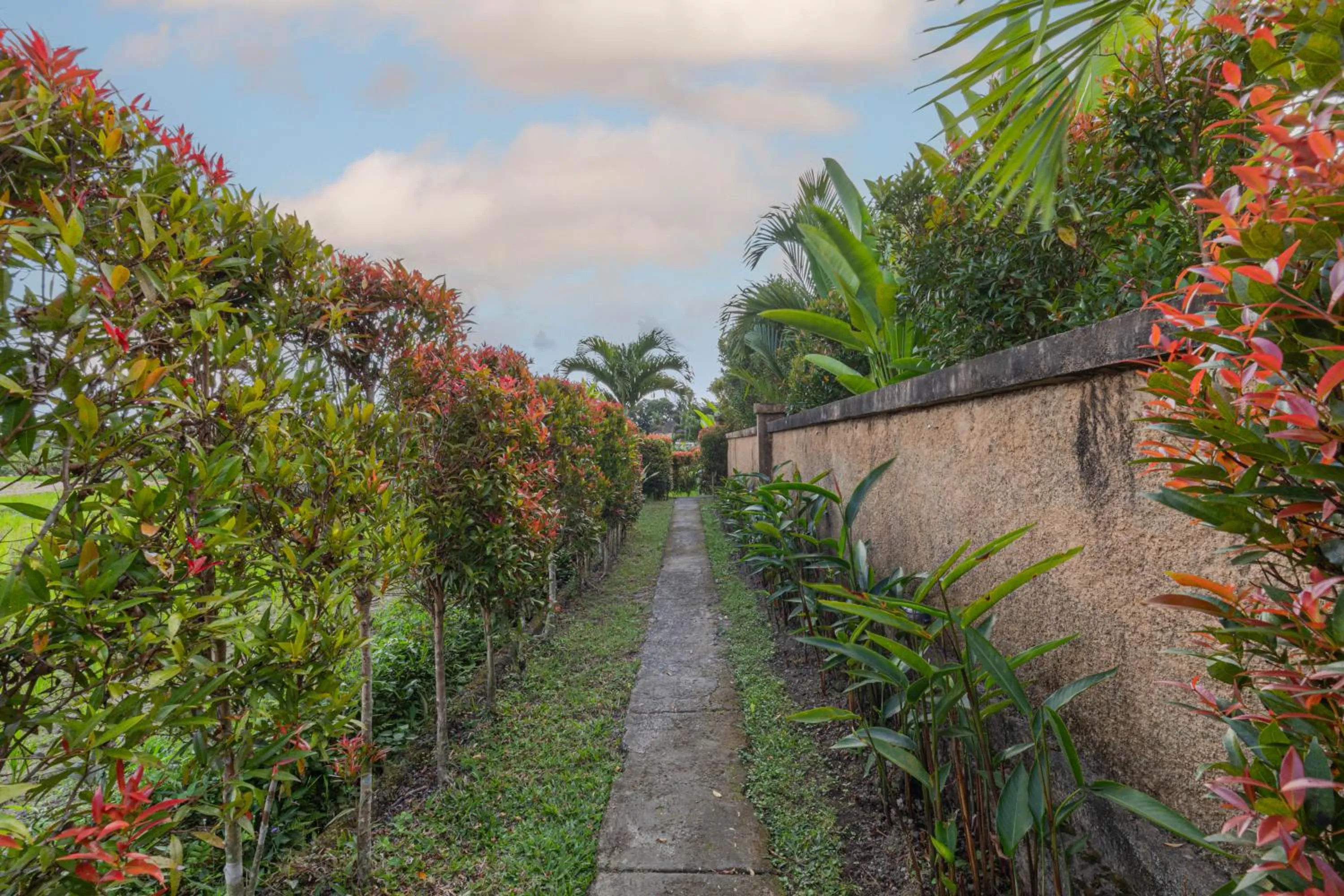 Garden view in NILUH Private Villas Ubud