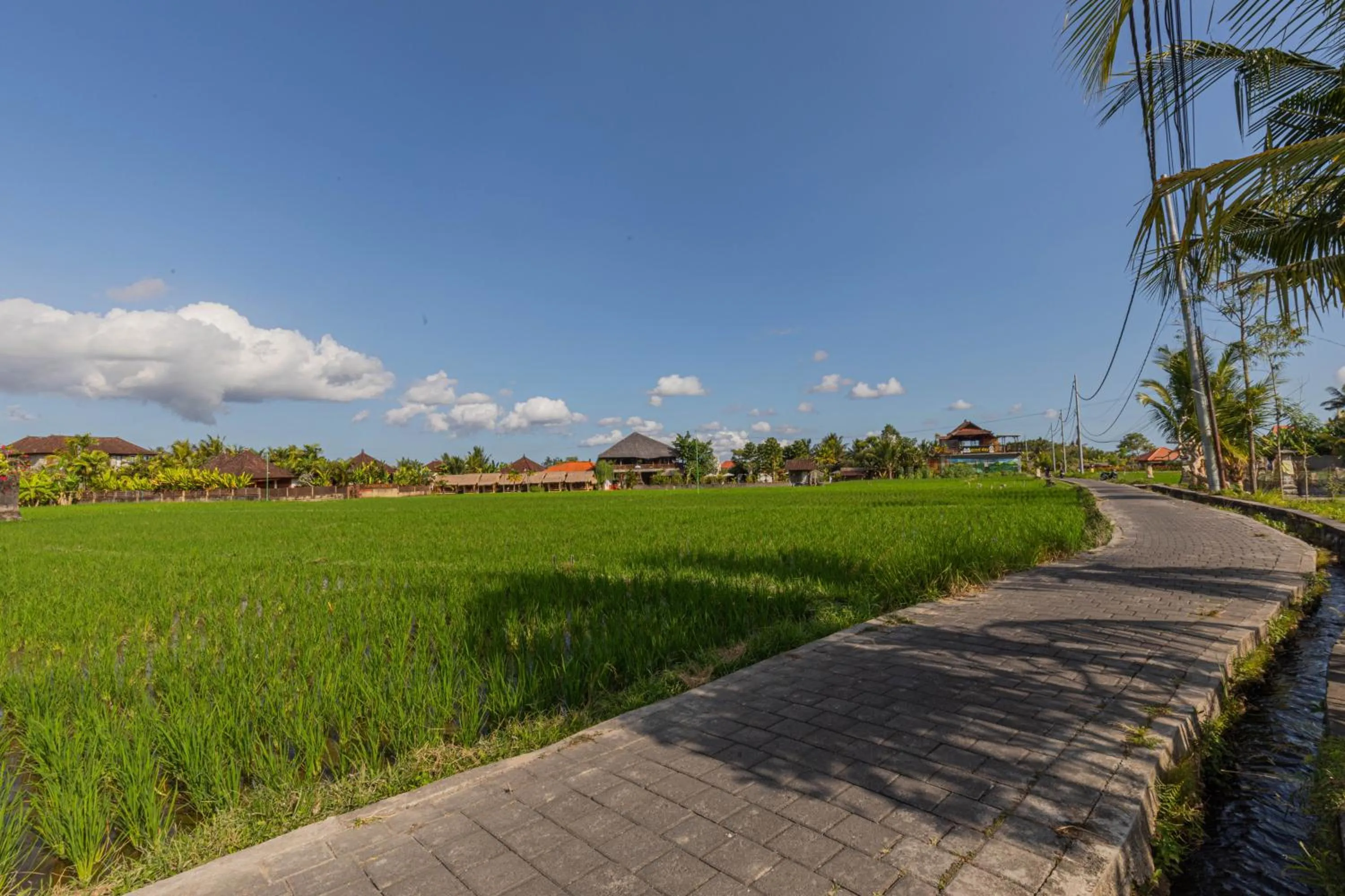 Other in NILUH Private Villas Ubud