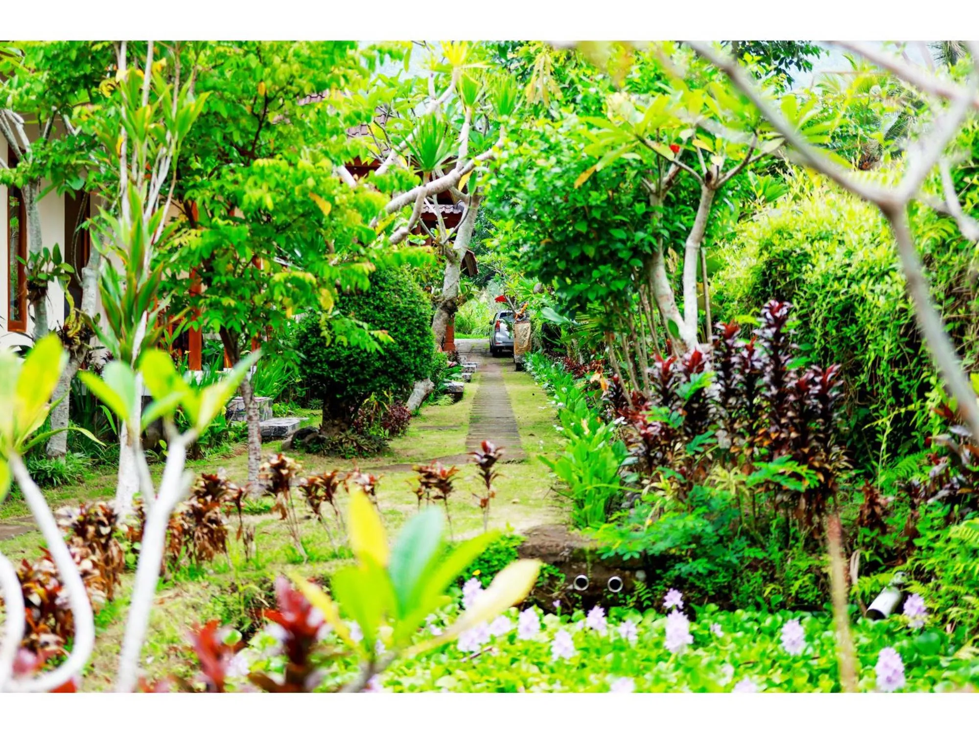 Natural landscape in Gongwi Cottages Sidemen