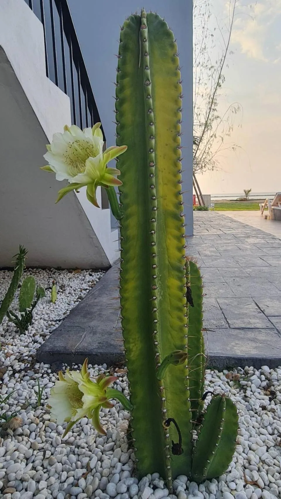 Day in HATCHAO HERITAGE BEACH FRONT RESORT