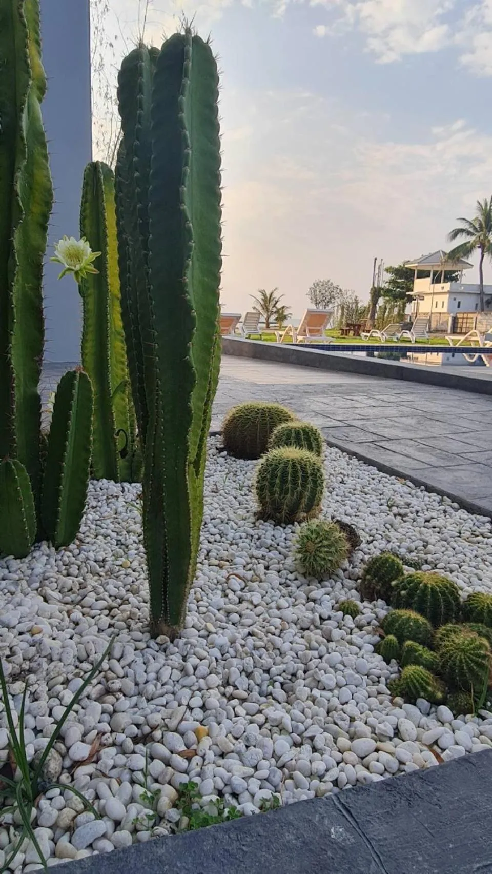 Natural landscape in HATCHAO HERITAGE BEACH FRONT RESORT