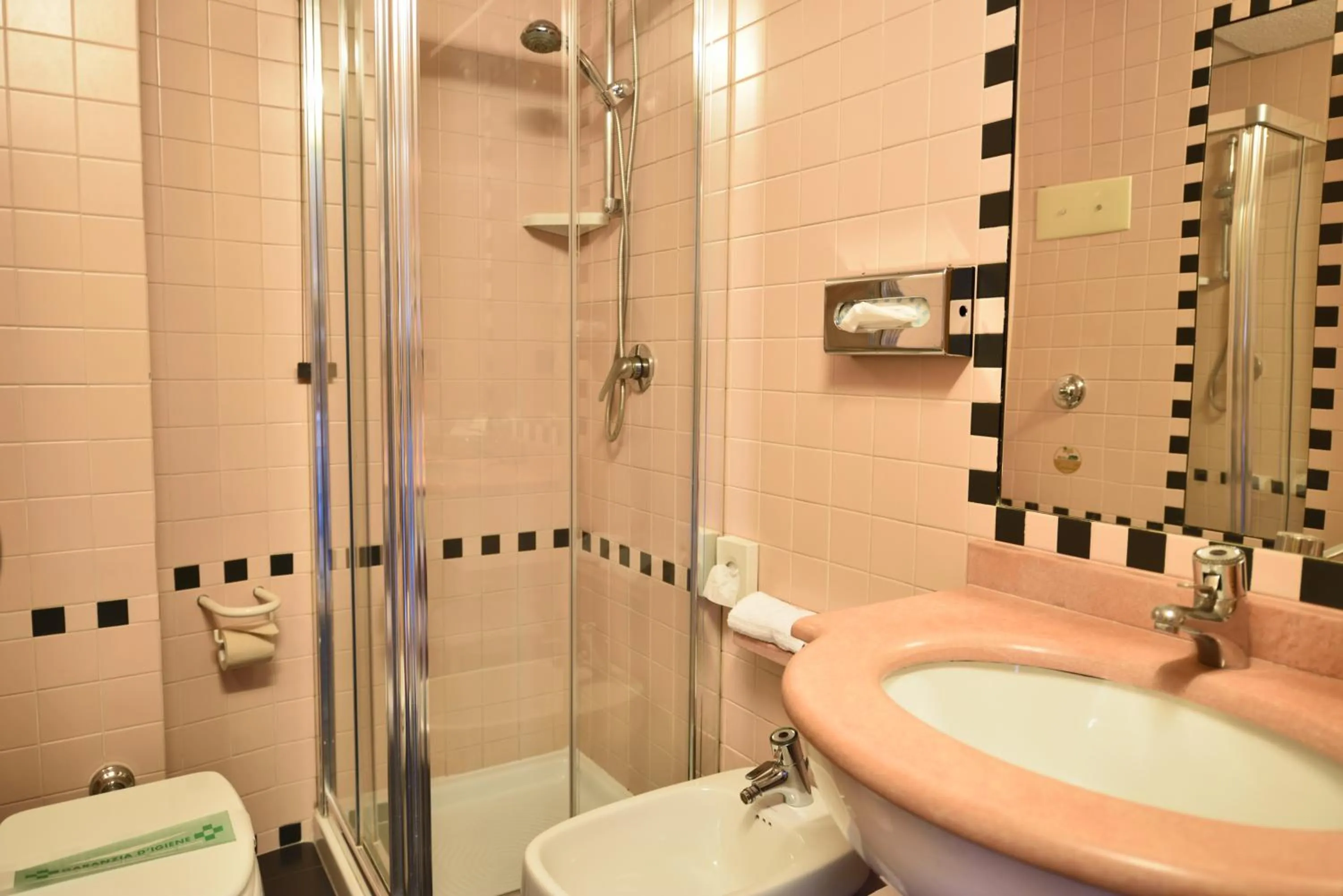 Bathroom in Hotel Carlton