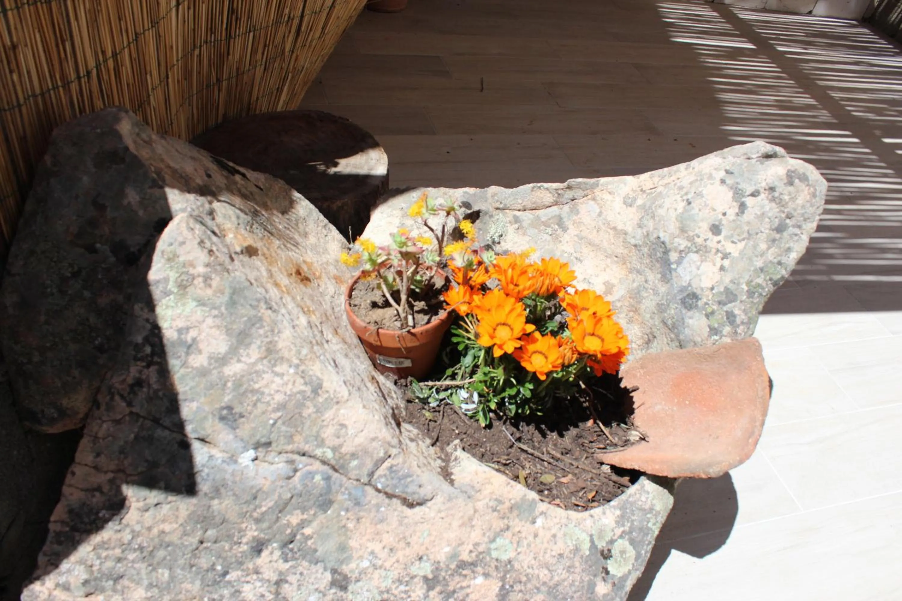 Patio in bed and breakfast Murales Orgosolo