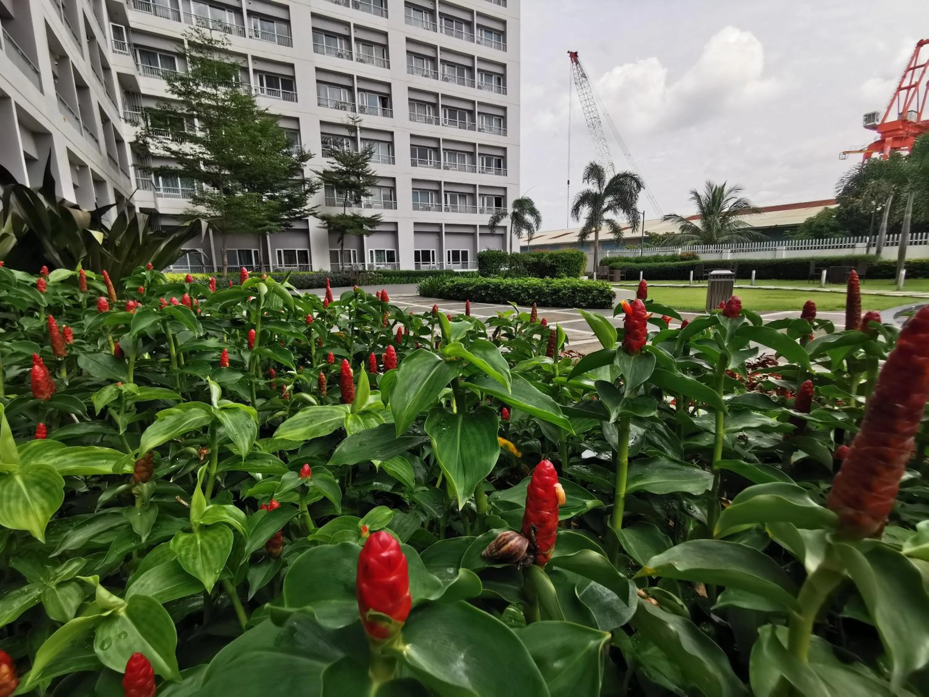 Garden in Apad@graceresidences nr BGC
