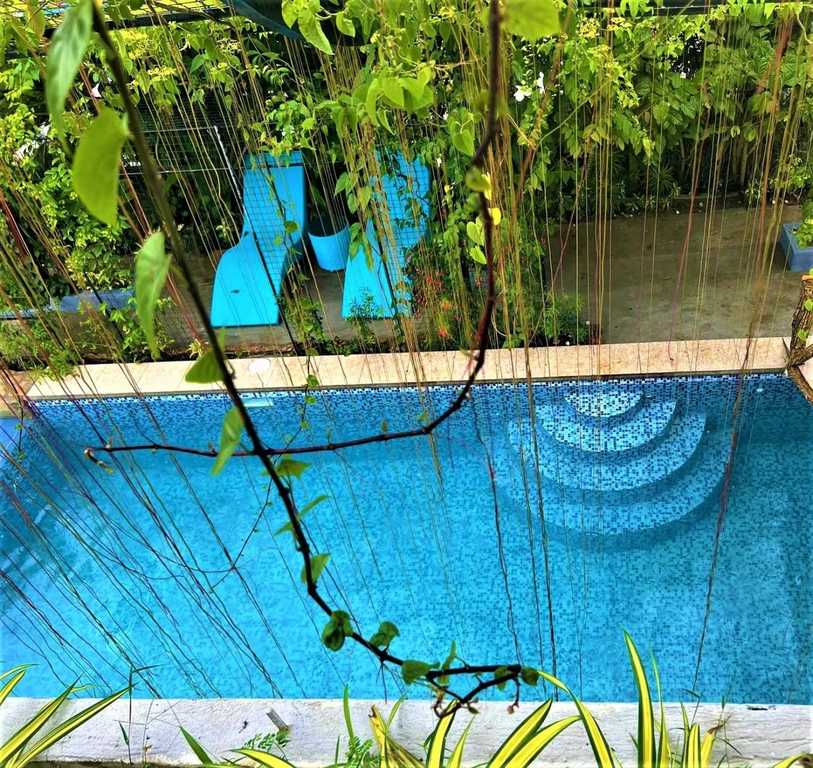 Bird's eye view in Casa Cecilia Hotel