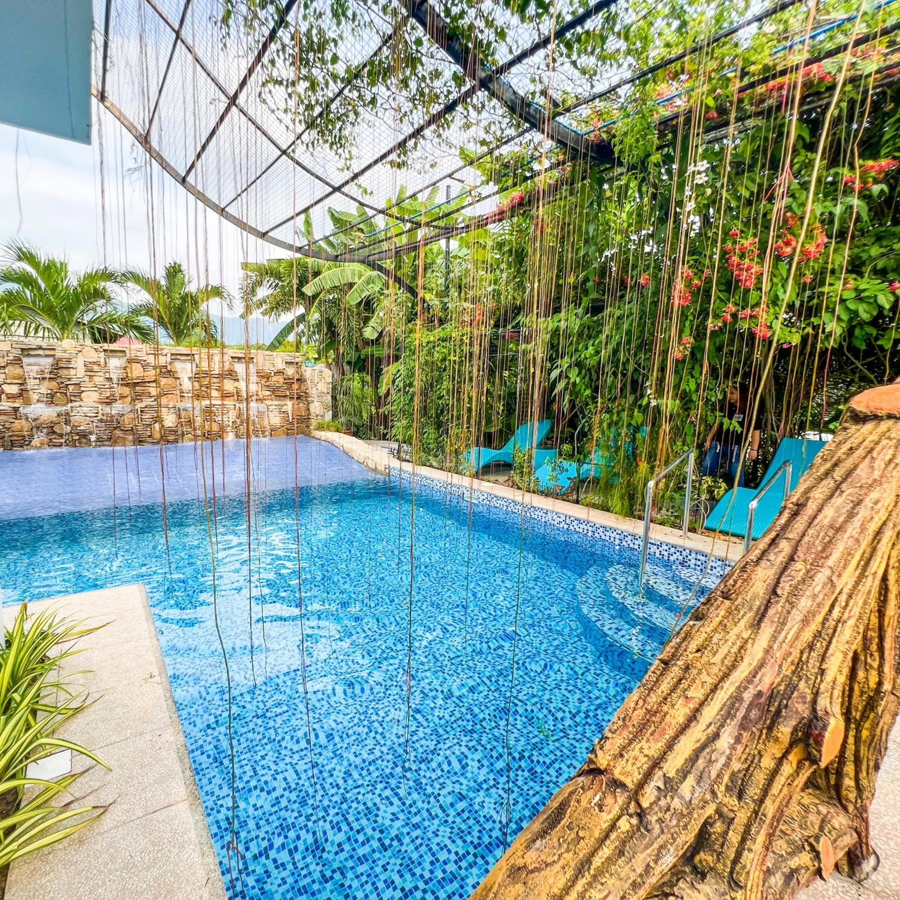 Pool view in Casa Cecilia Hotel