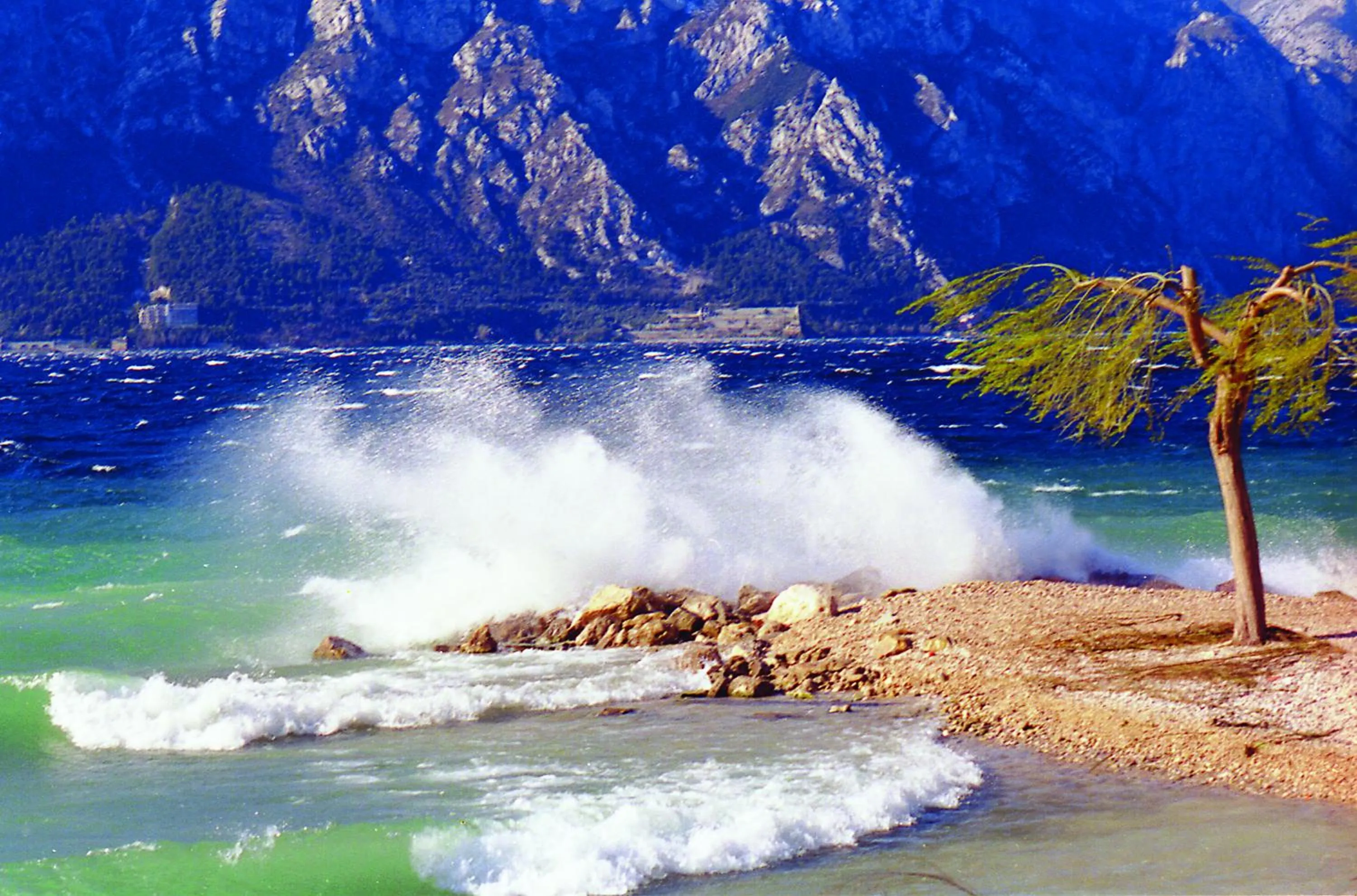 Area and facilities in Albergo San Remo