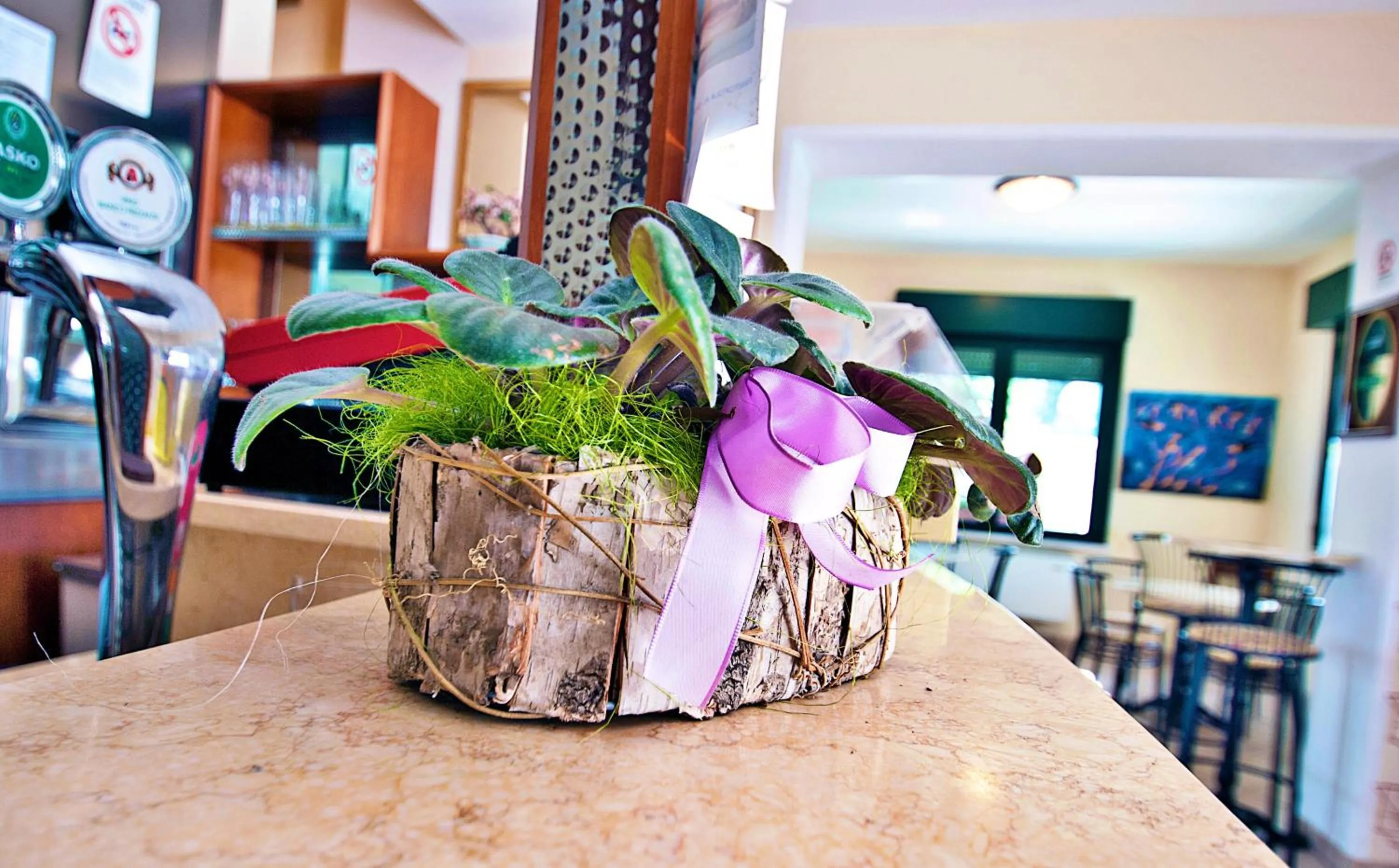 Lounge or bar in Residence Bellavista