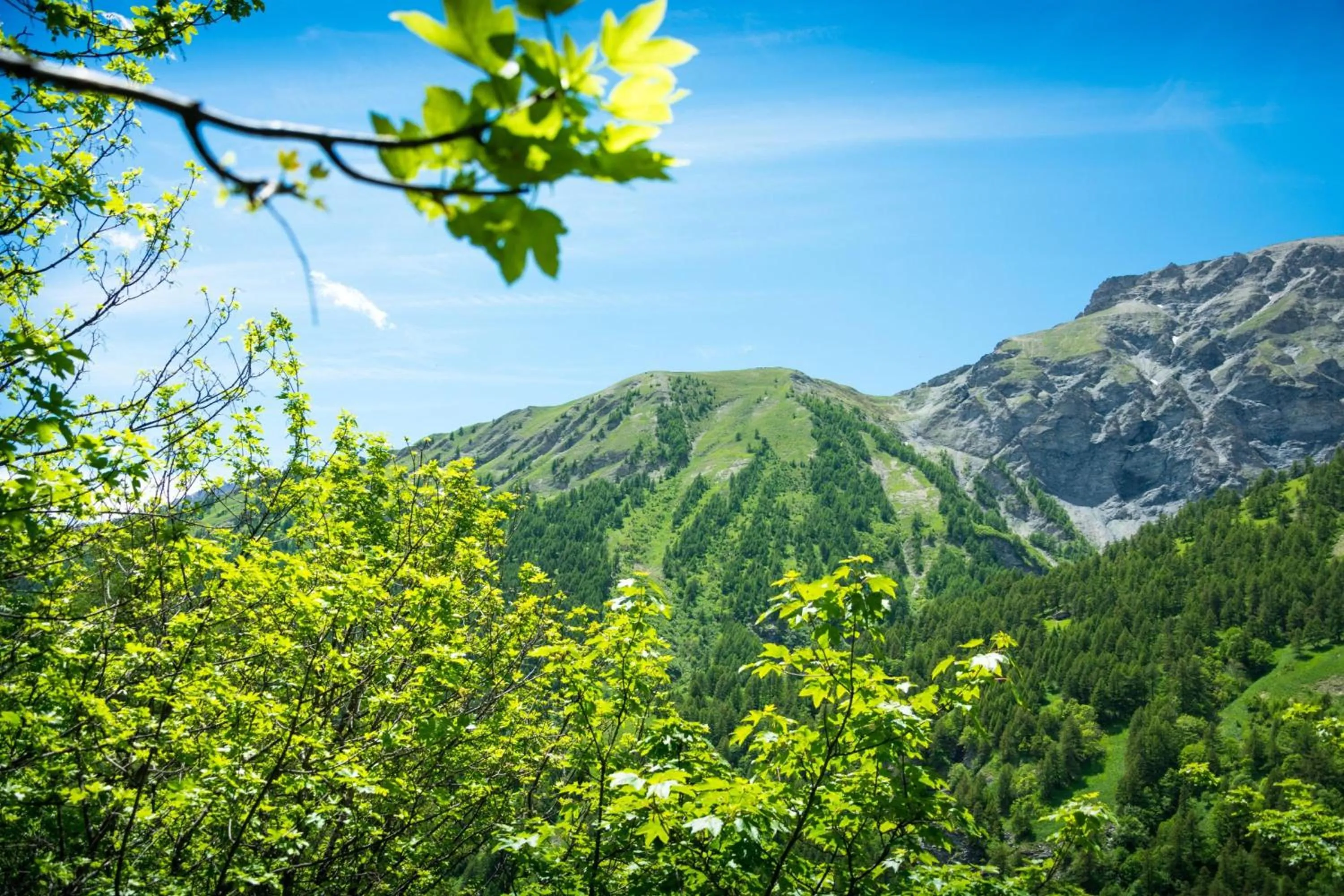 Baita La Ciaburna skiing nearby - Happy Rentals