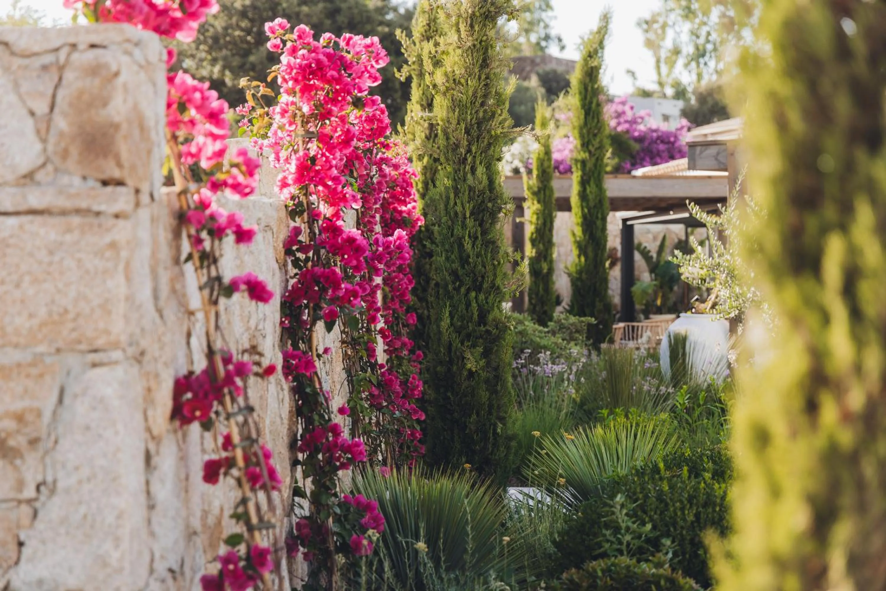 Garden in Casa Paradisu