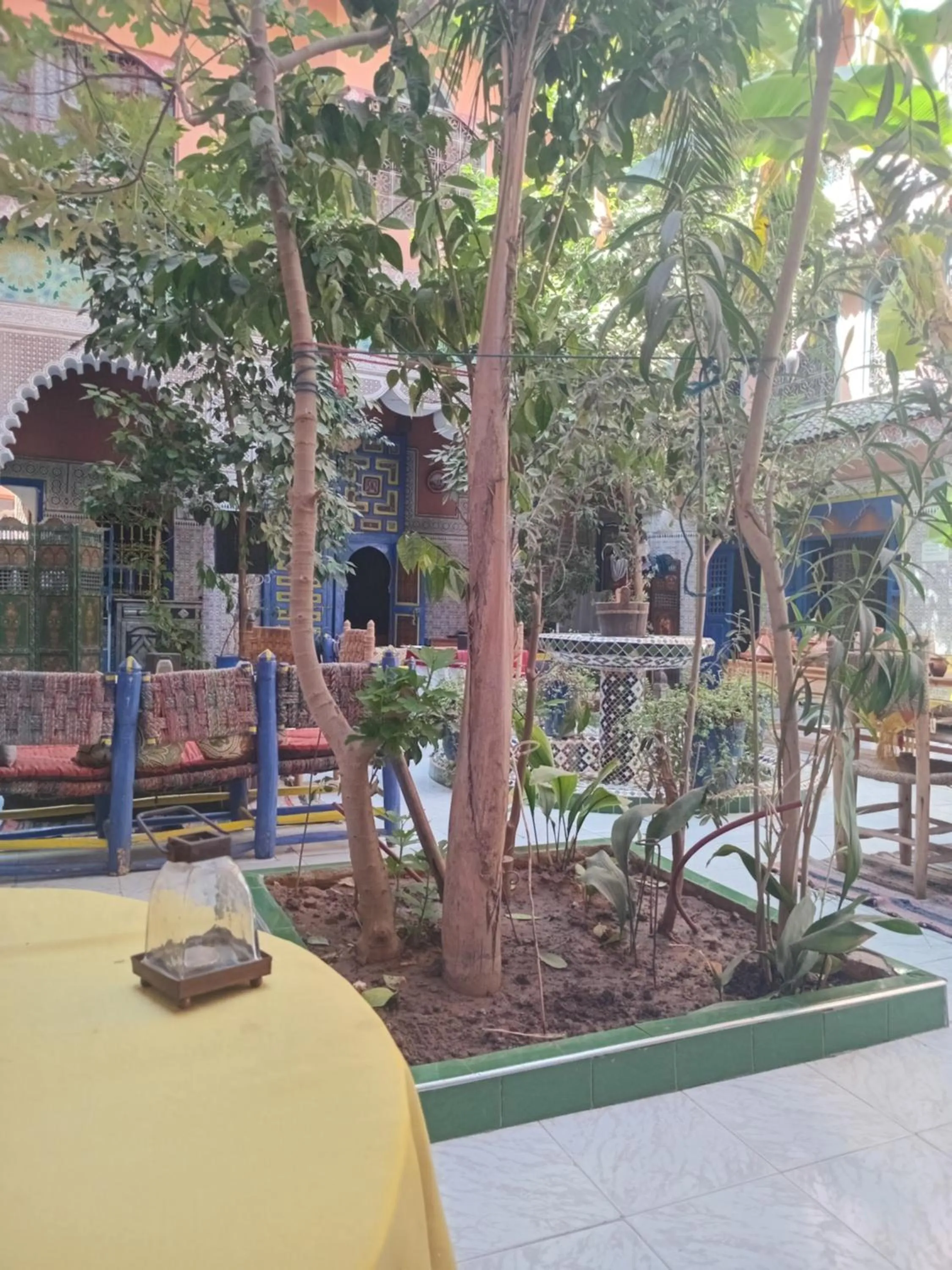 Riad Carole - Perfect for Families & Groups