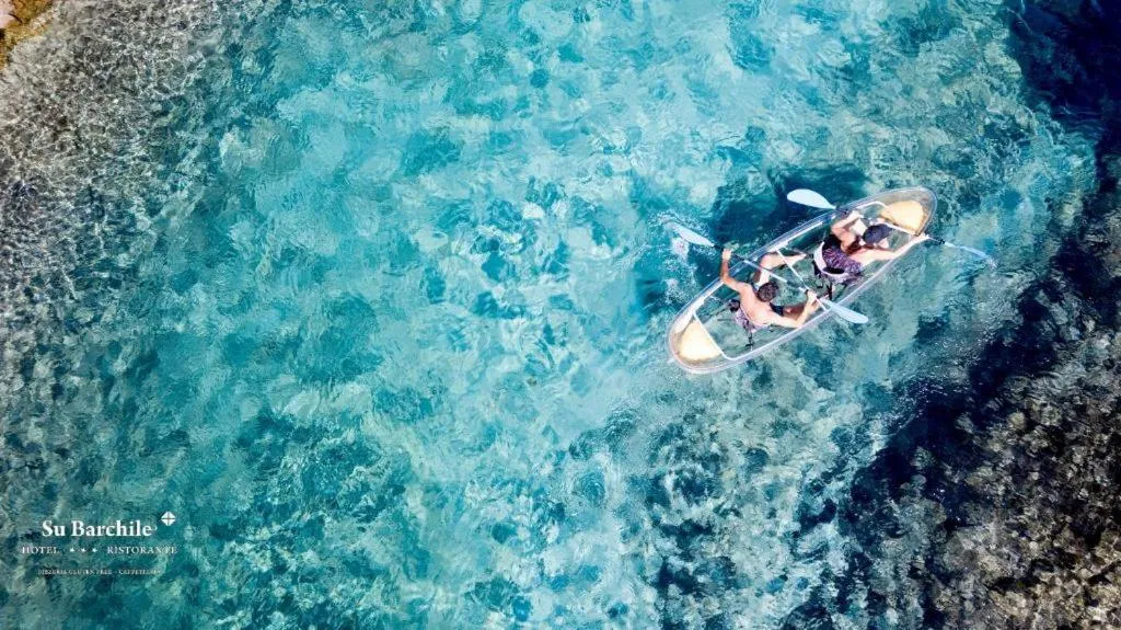 Natural landscape in Hotel Su Barchile