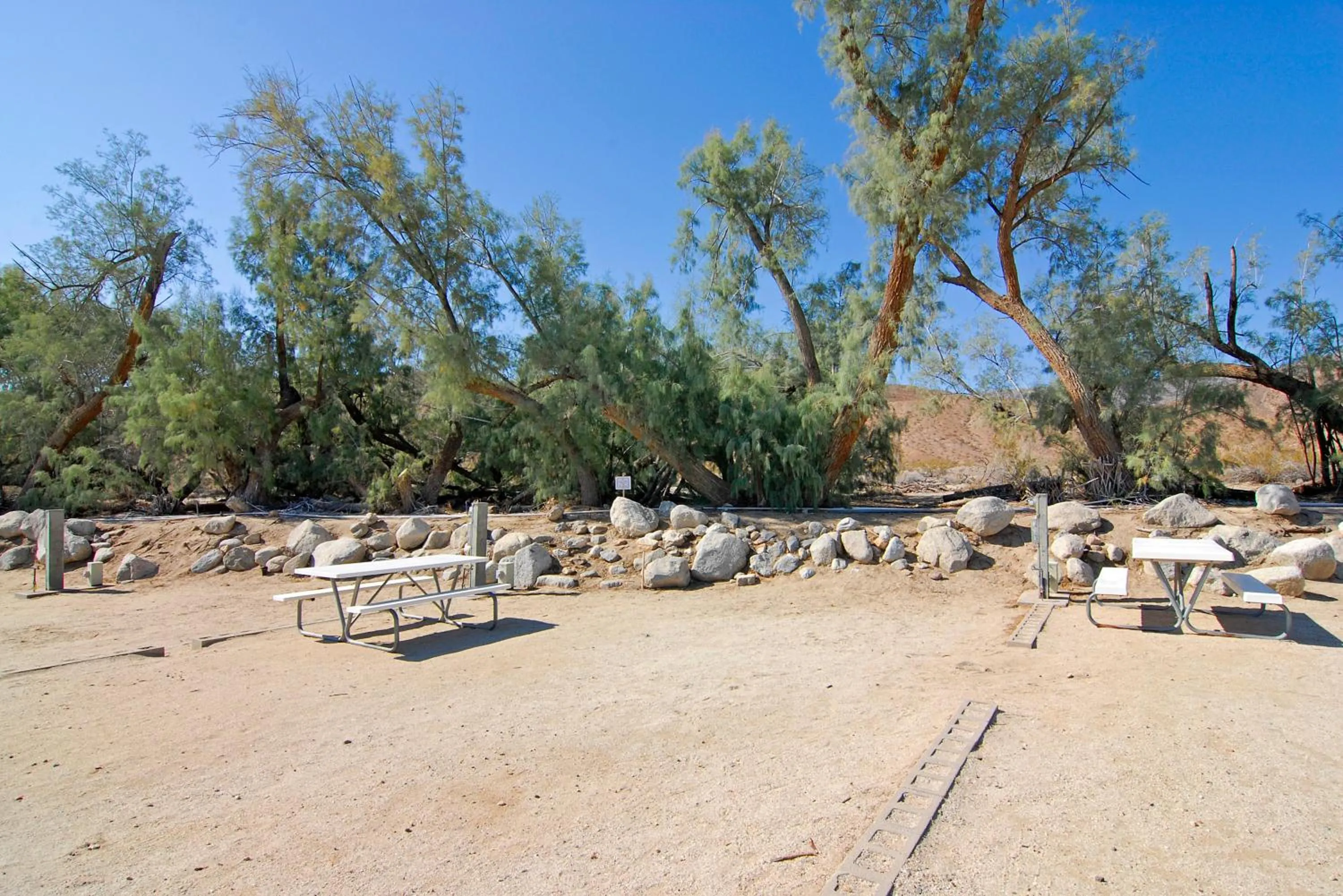 Natural landscape in Palm Canyon Hotel and RV Resort