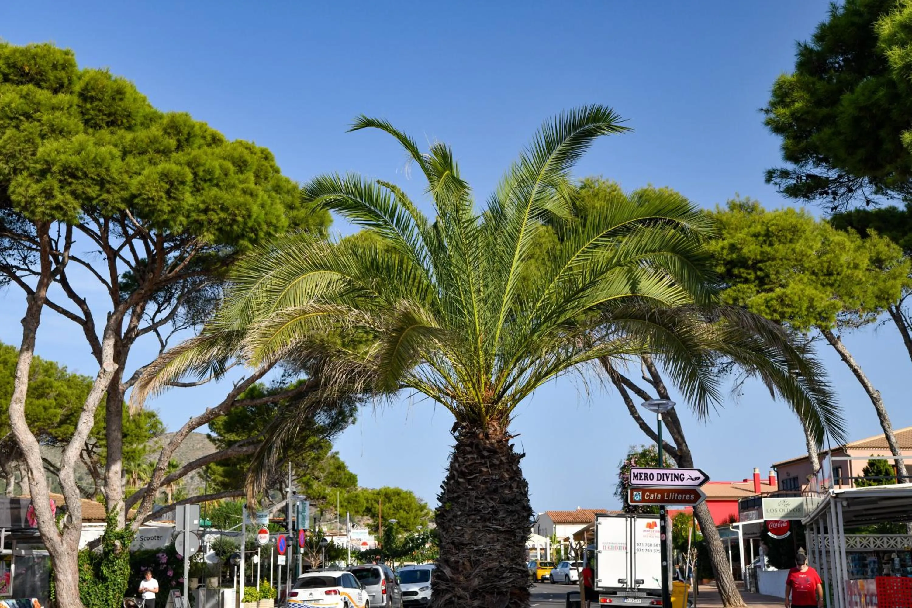 Landmark view in Hotel Vista Sol Cala Rajada