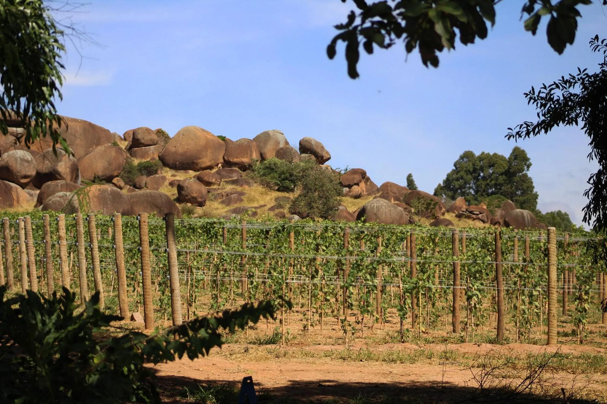 Day in Limoeiro da Concórdia Hotel Fazenda de Charme