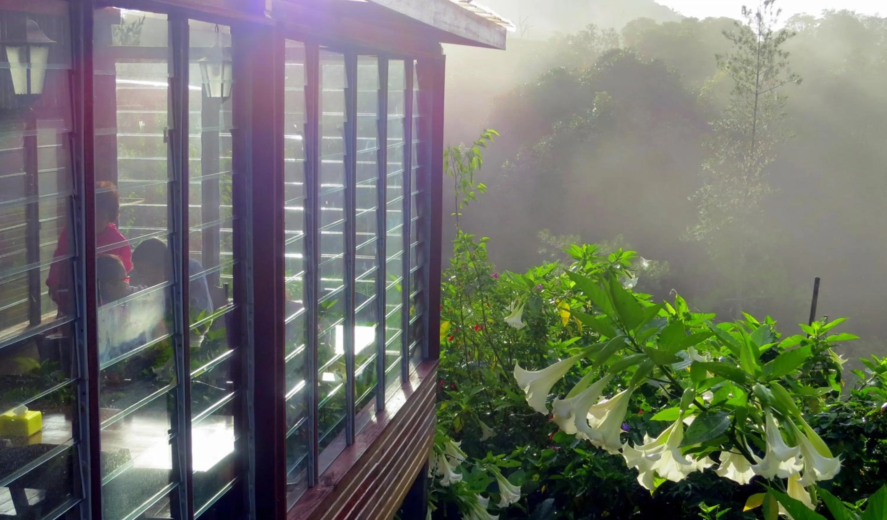 Natural landscape in Mile 36 Lodge
