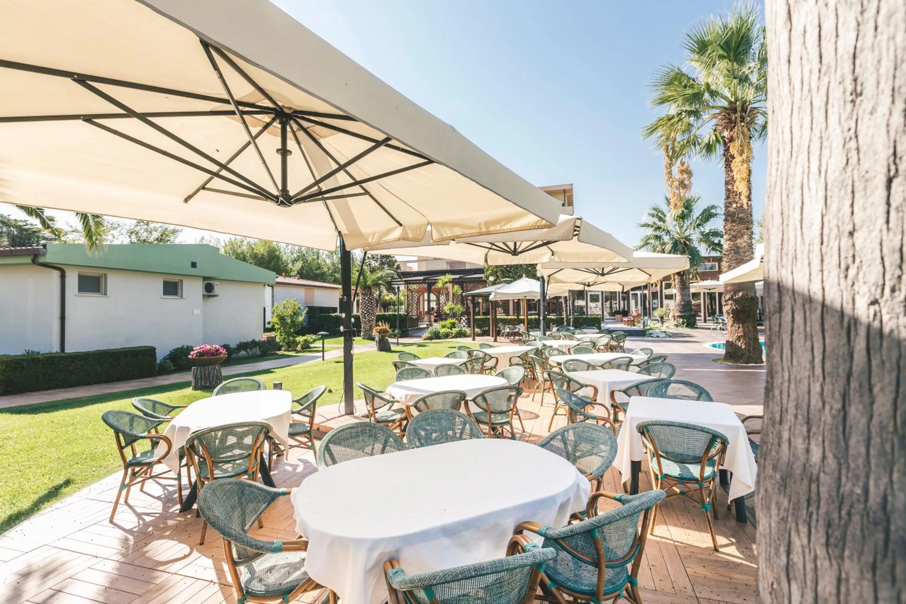 Garden view in Hotel Acquario