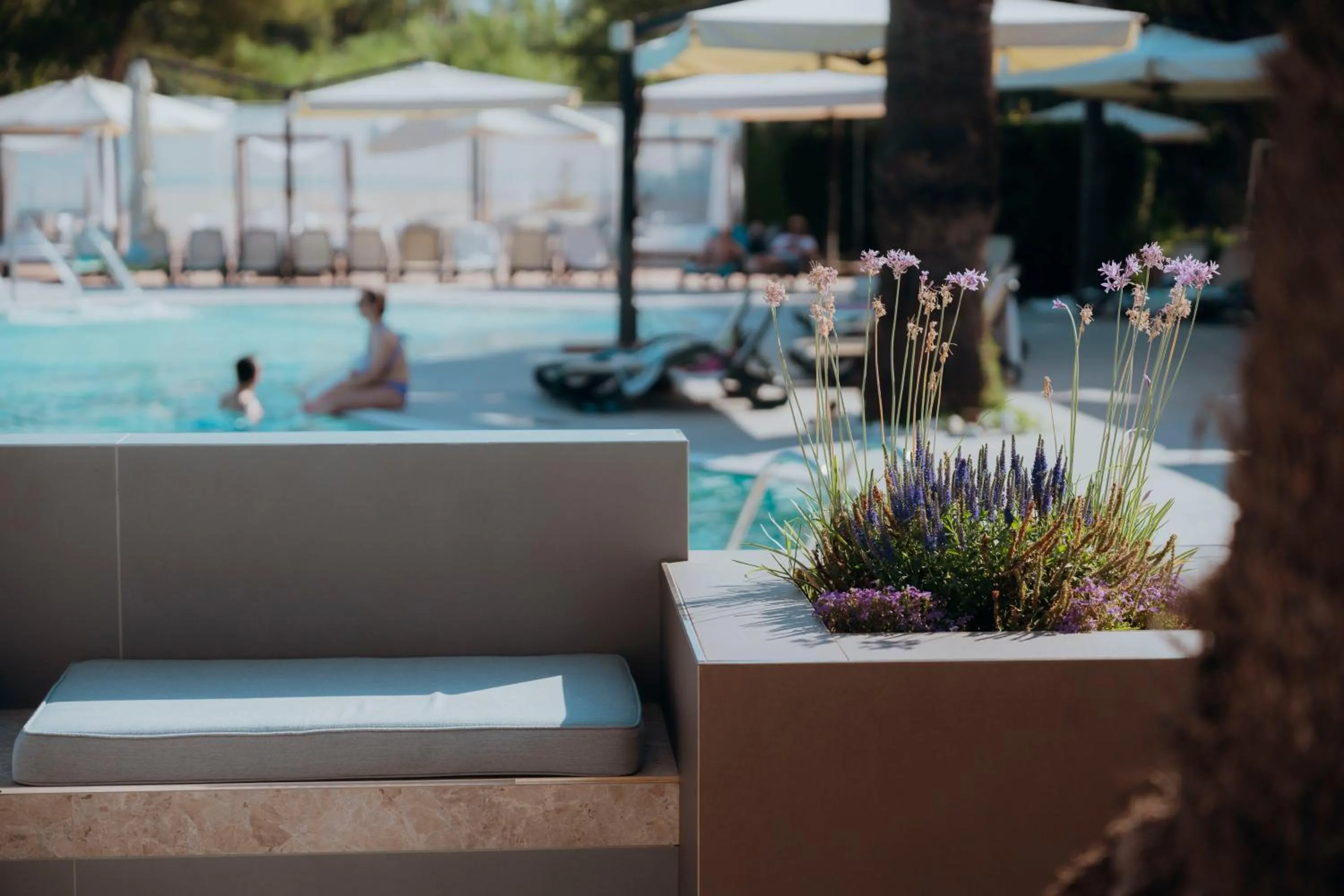 Swimming pool in Hotel Acquario