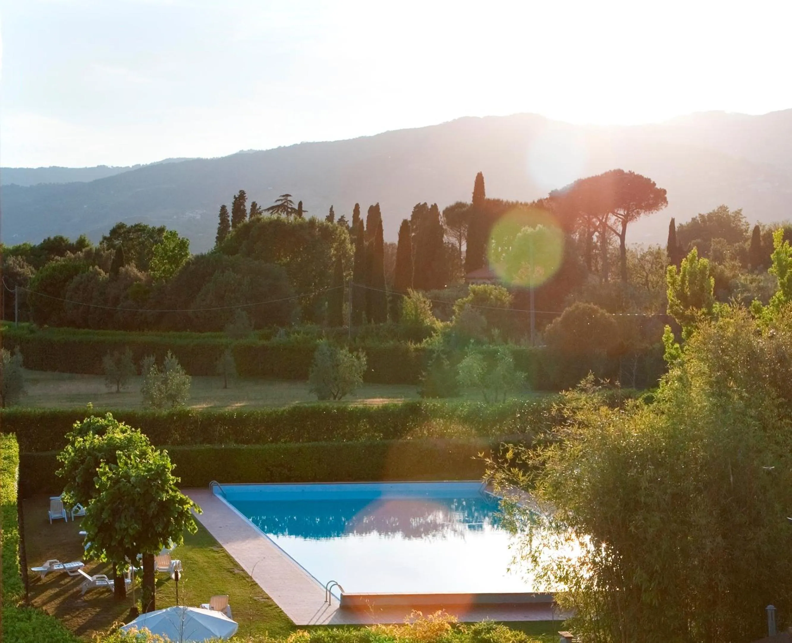 Garden in Hotel Villa Cappugi