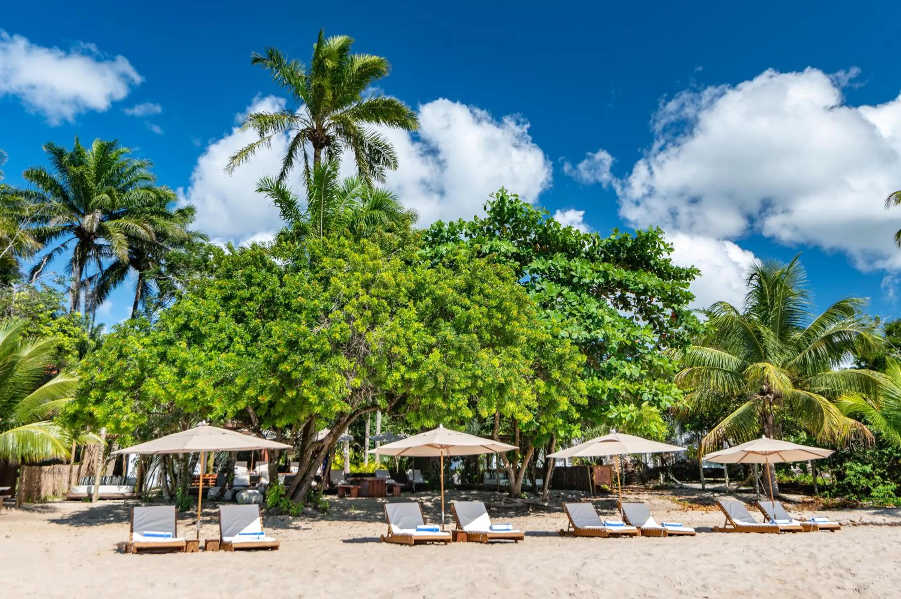 Beach in Colibri Beach Villas
