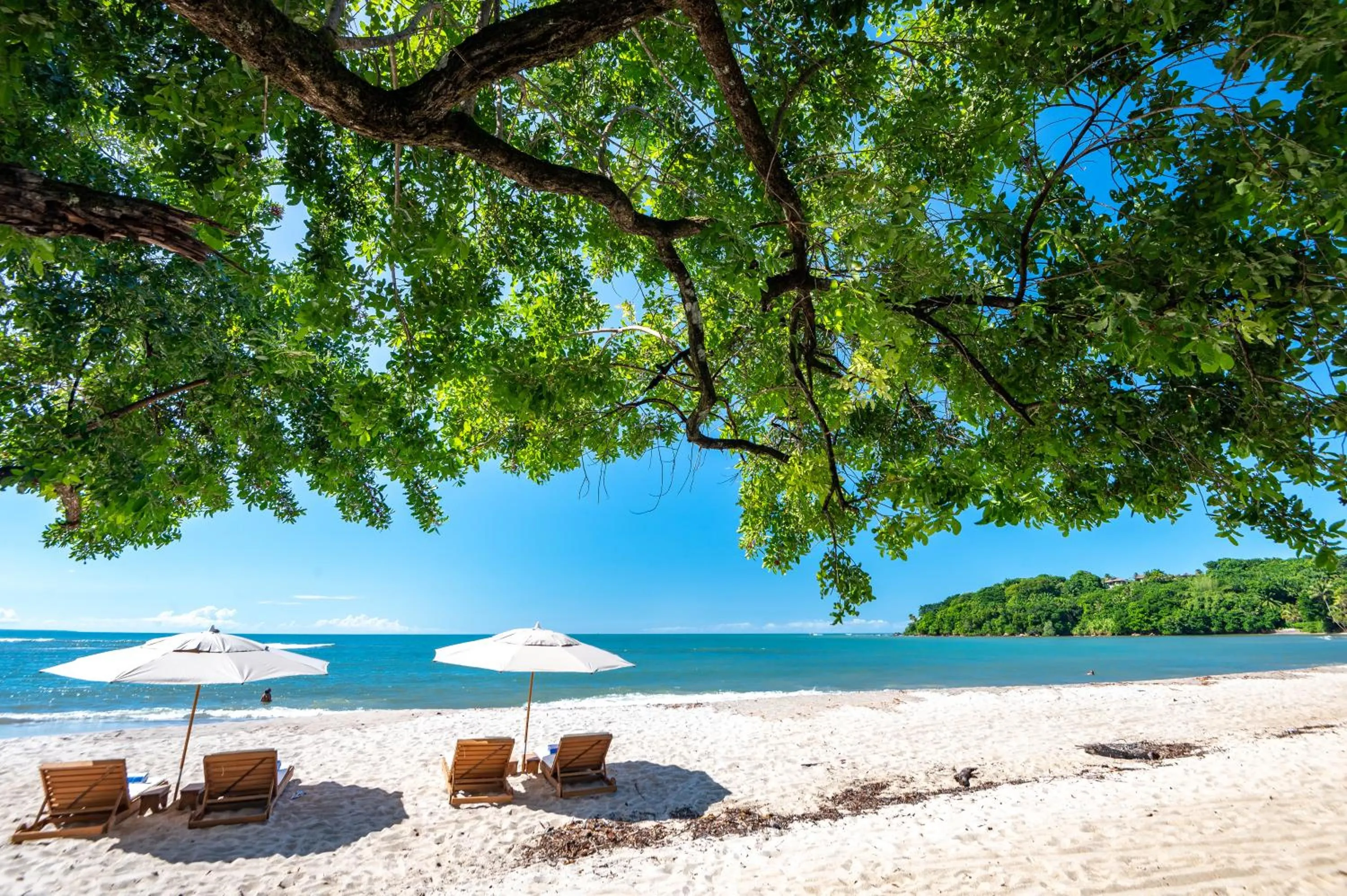 Natural landscape in Colibri Beach Villas