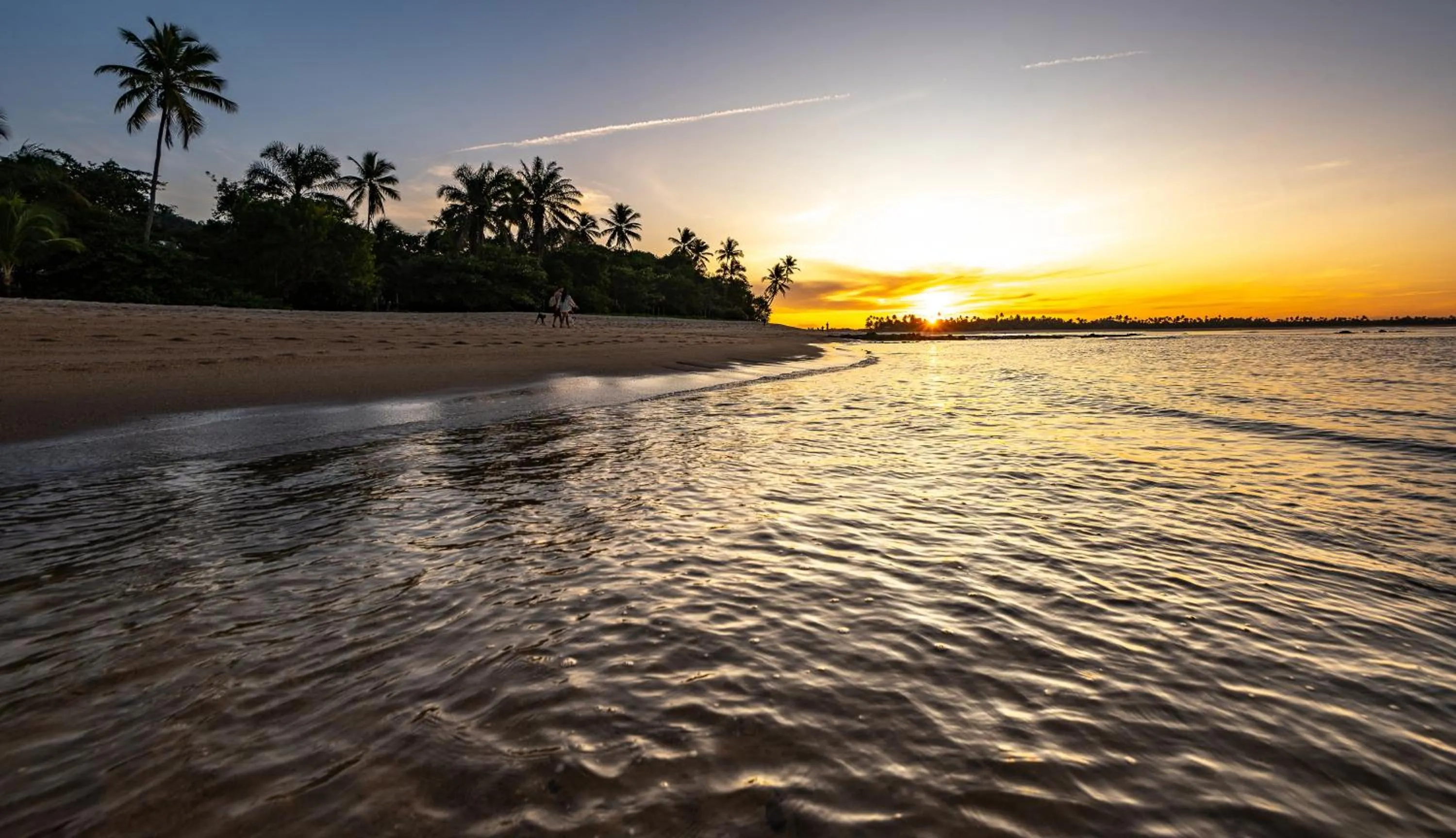 Natural landscape in Colibri Beach Villas