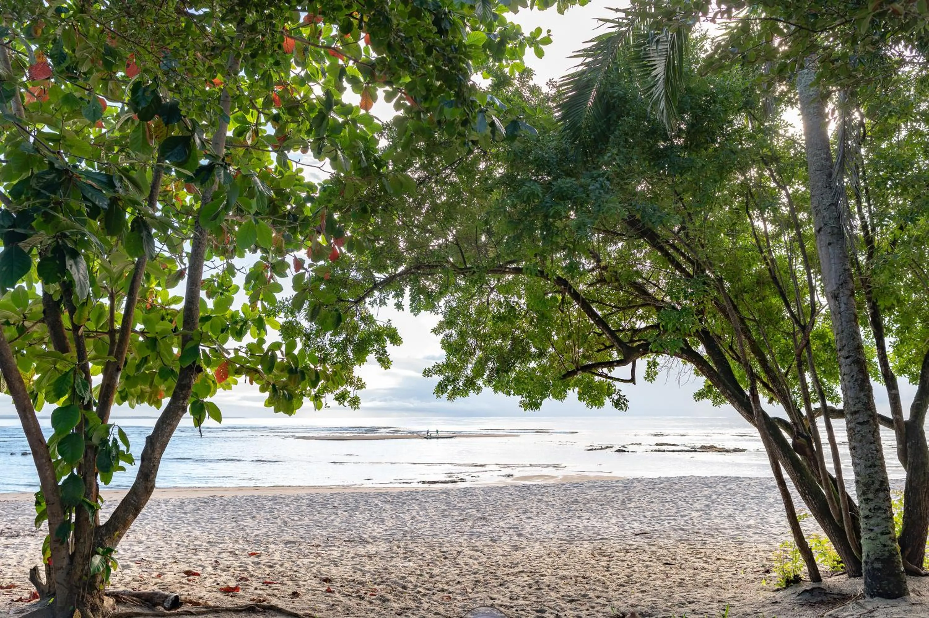 Natural landscape in Colibri Beach Villas