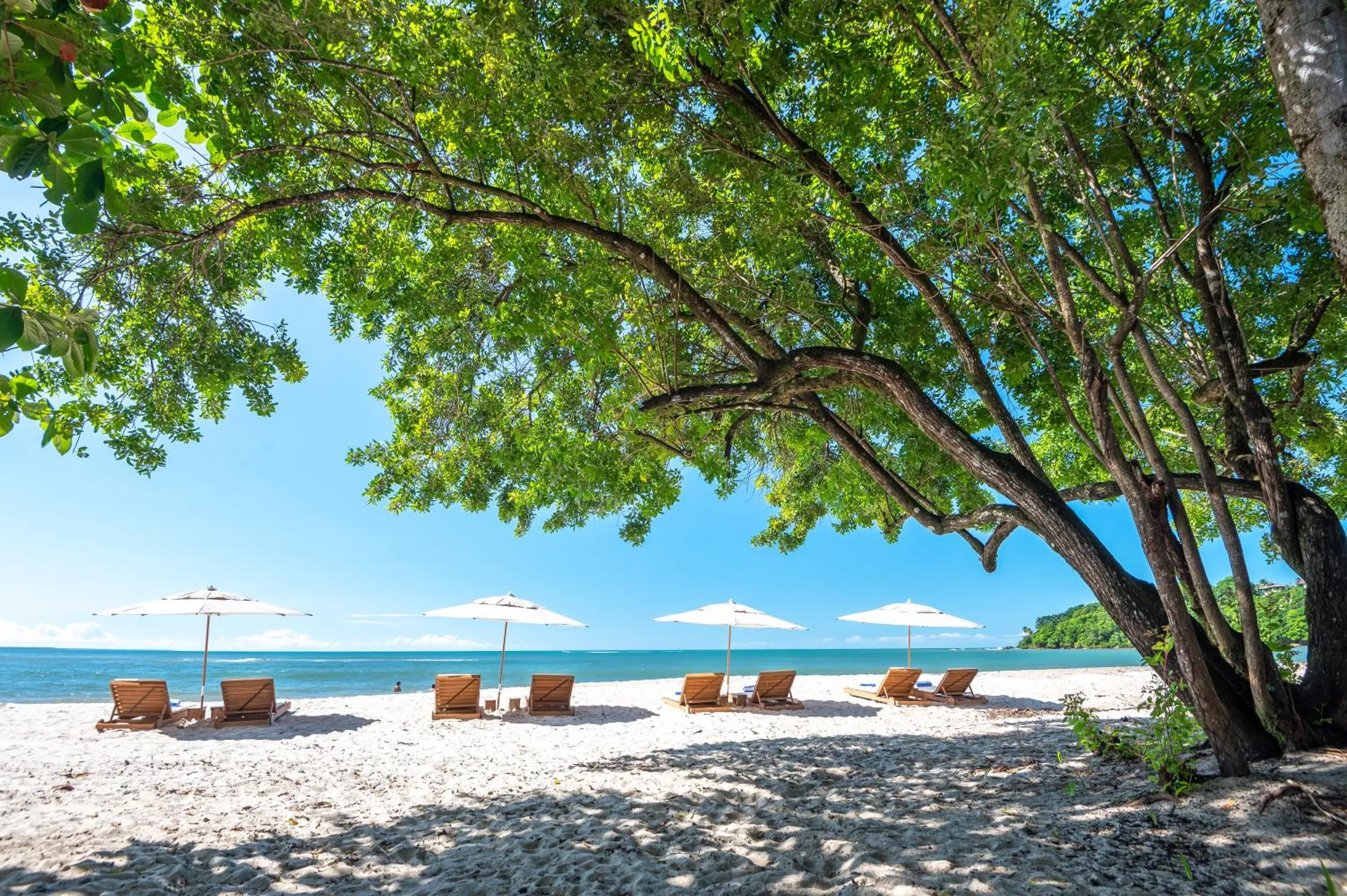 Natural landscape in Colibri Beach Villas
