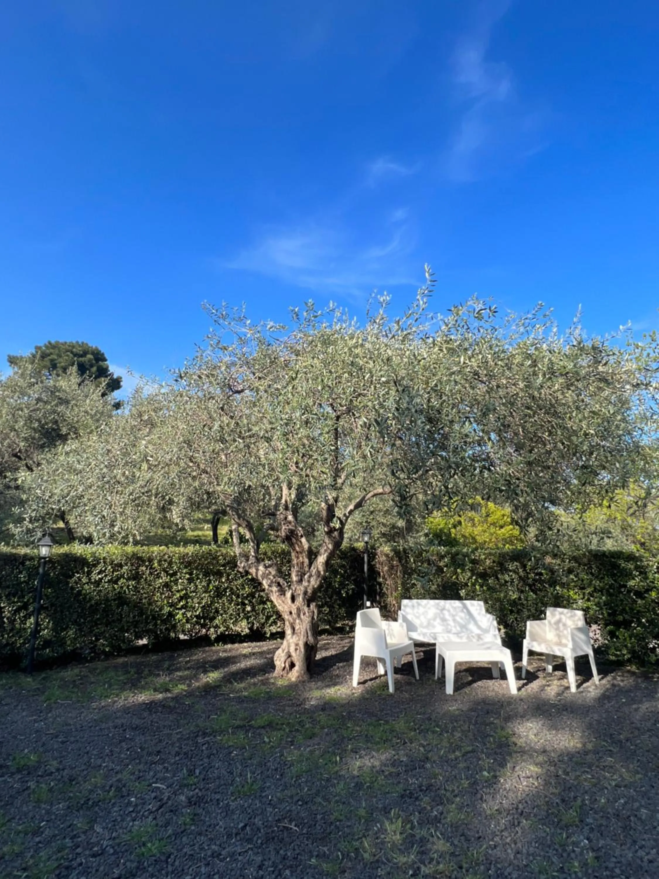 Bed and Breakfast Il Glicine