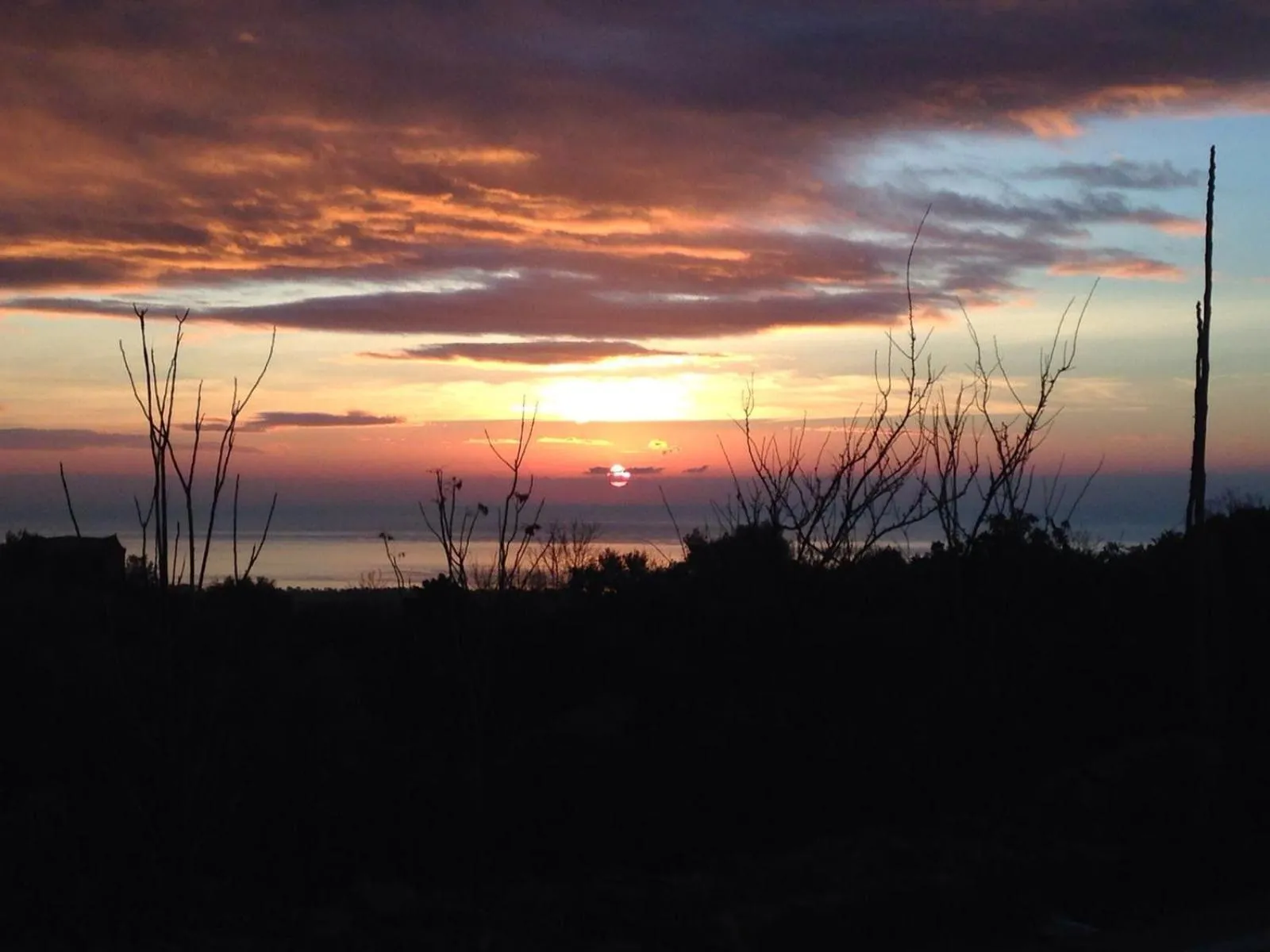 View (from property/room) in Bed and Breakfast Il Glicine