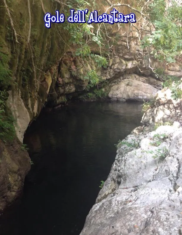 Neighbourhood in Bed and Breakfast Il Glicine