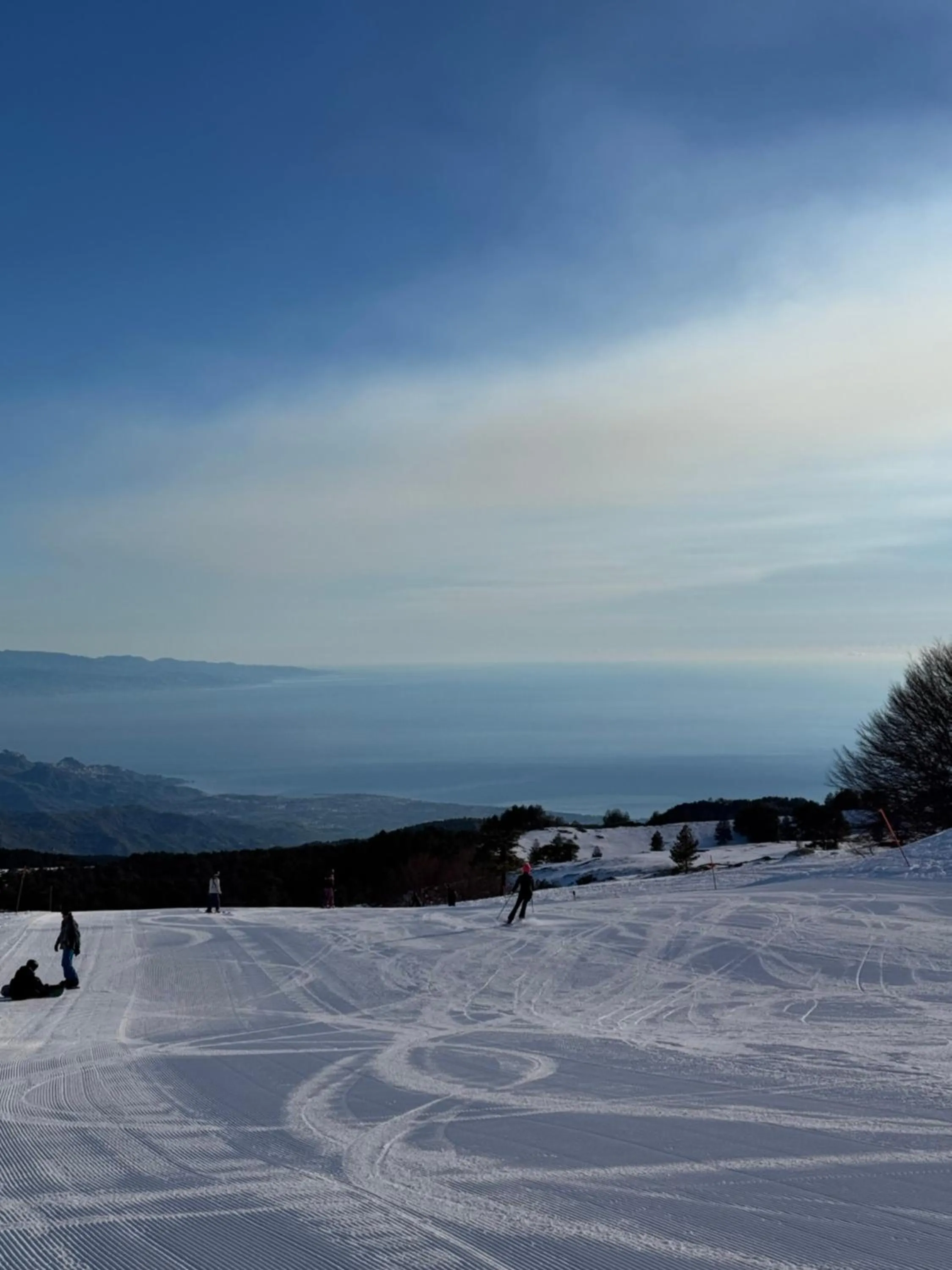 Bed and Breakfast Il Glicine