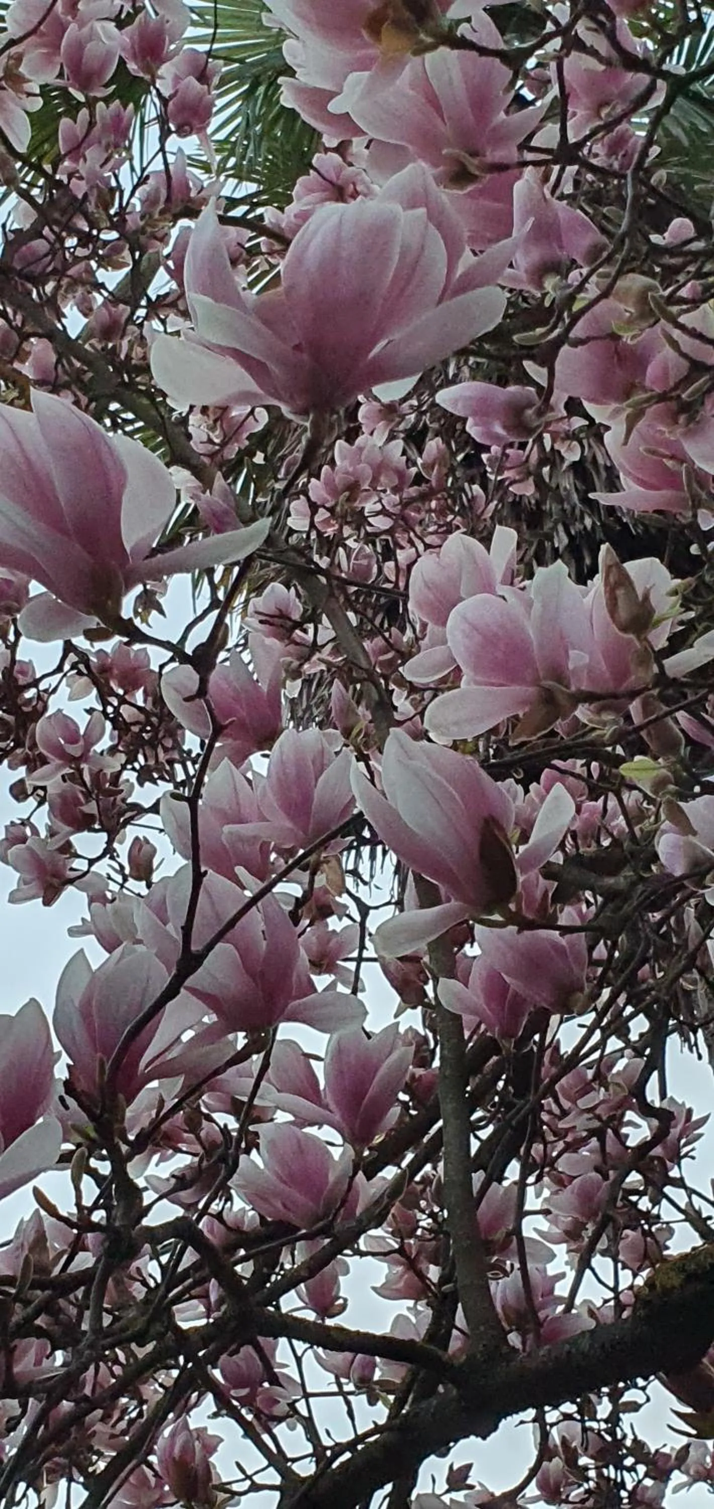 Garden view in B&B La Coperta Ricamata