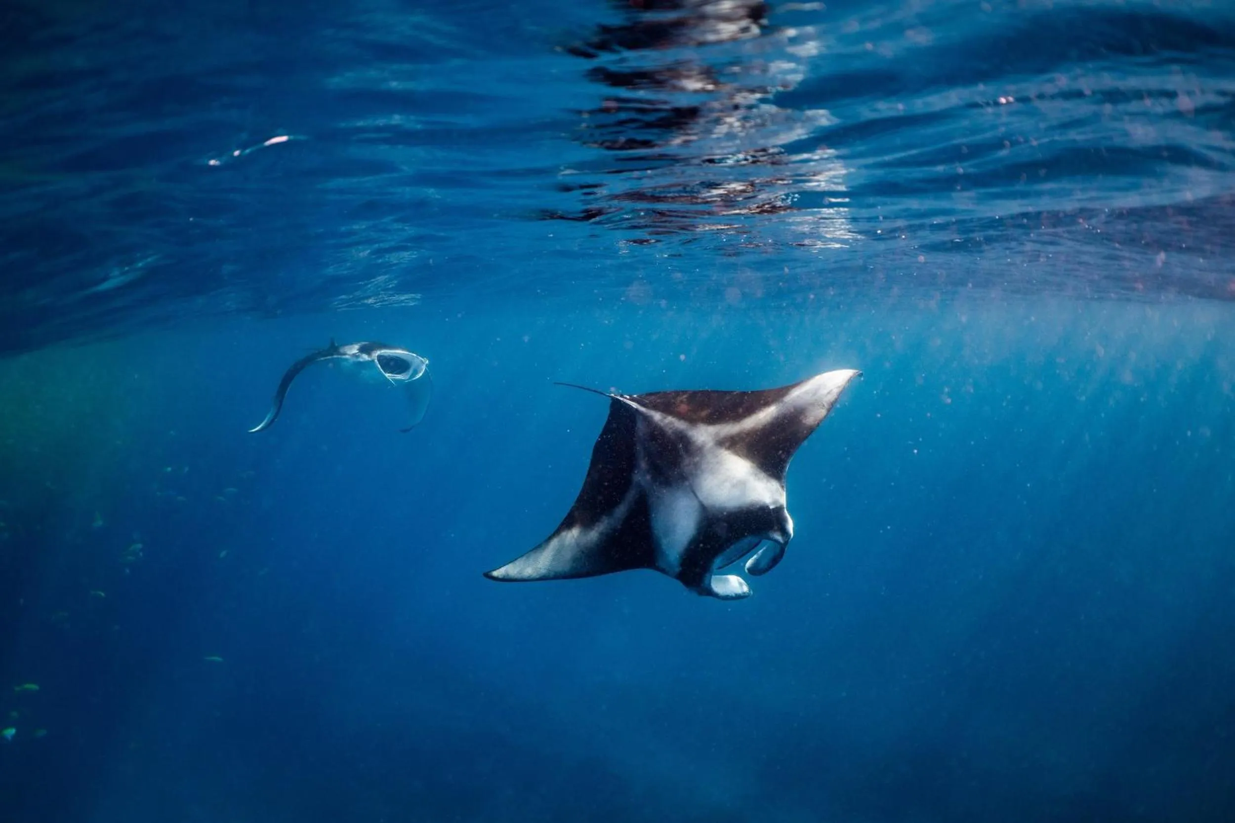 Activities in Nova Maldives