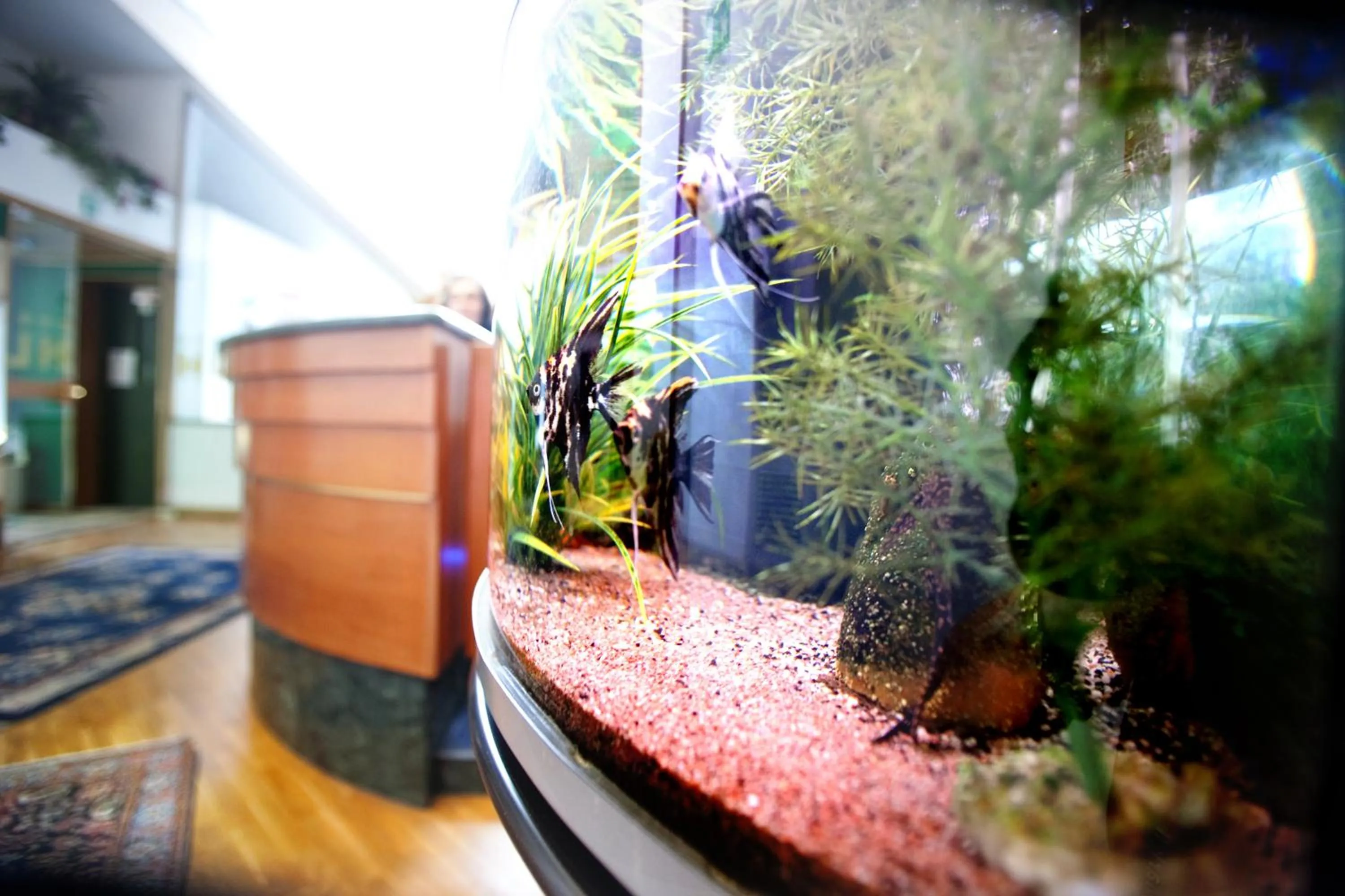 Other in Hotel Leonardo