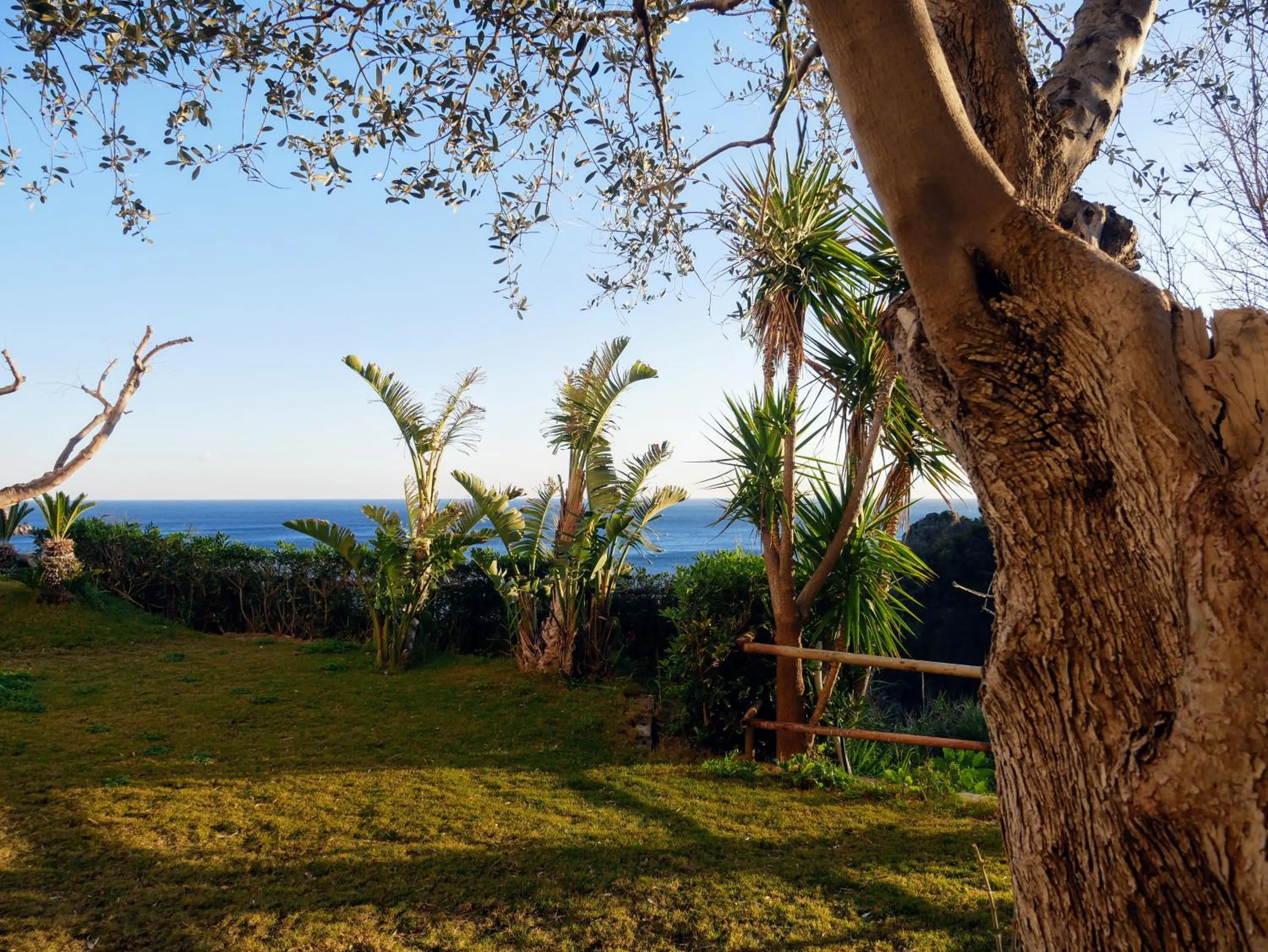 Natural landscape in Hotel Torre Sant'Angelo