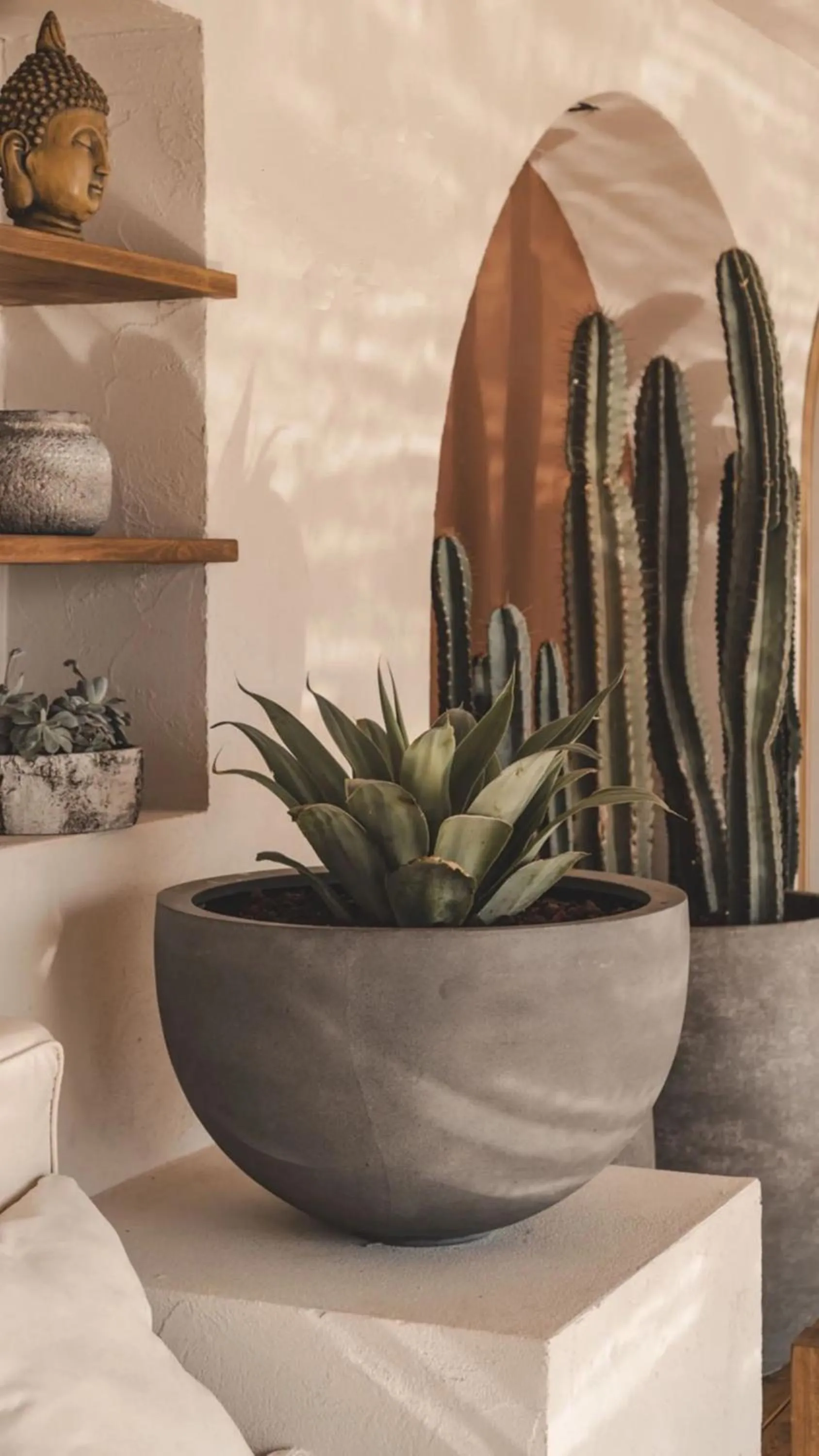 Restaurant/places to eat in Kalia Beach Hotel Side Ex Kale Motel