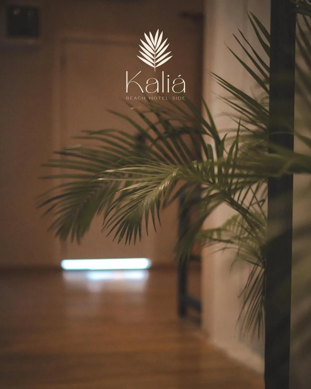 Property logo or sign in Kalia Beach Hotel Side Ex Kale Motel