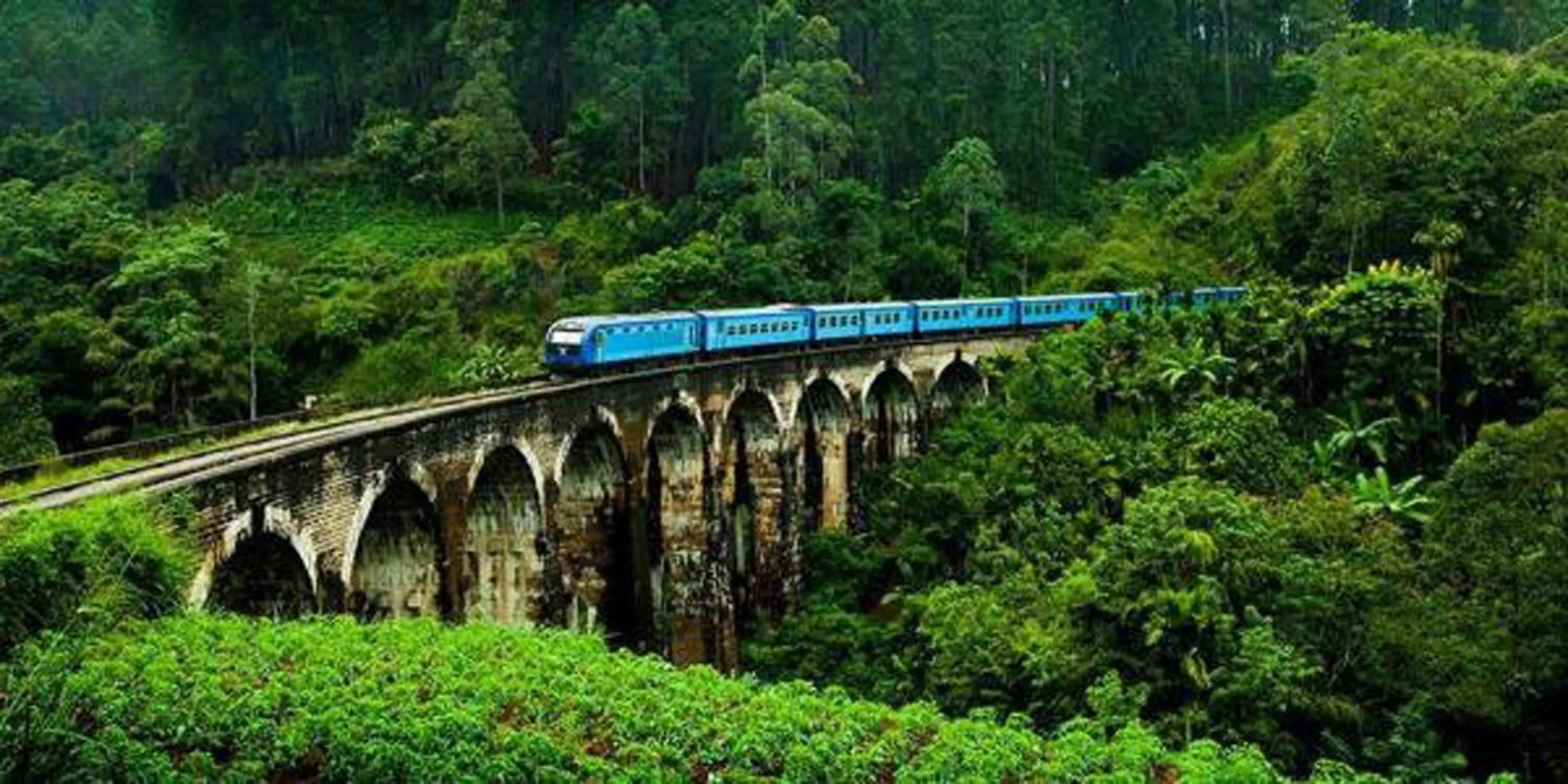 Natural landscape in Oak Ray Ella Gap Hotel