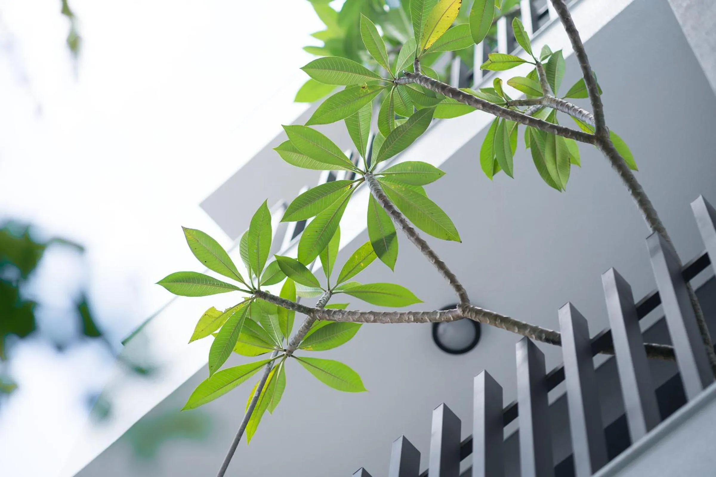 Property building in The Way Inn