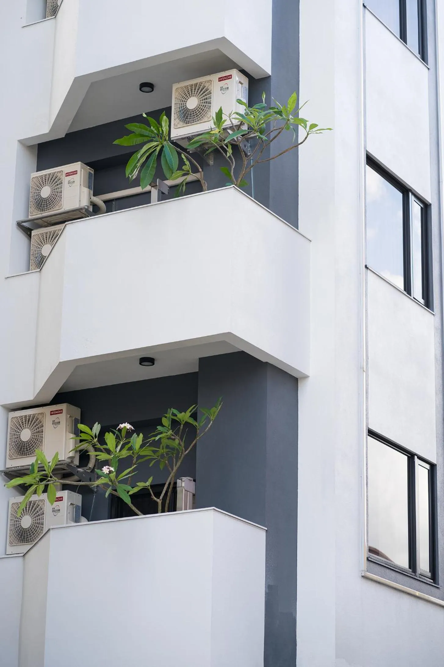 Property building in The Way Inn