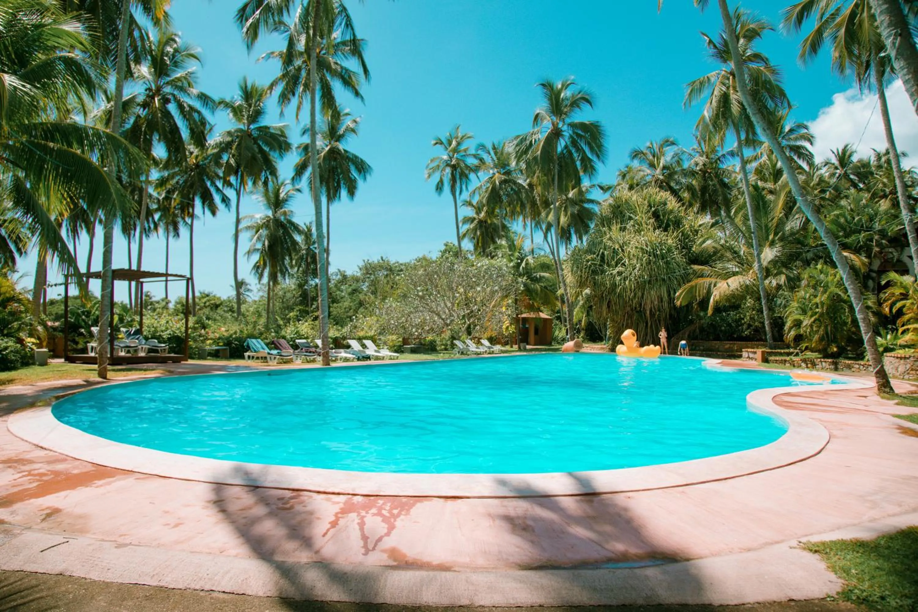 Swimming pool in Eva Lanka Hotel - Beach & Wellness