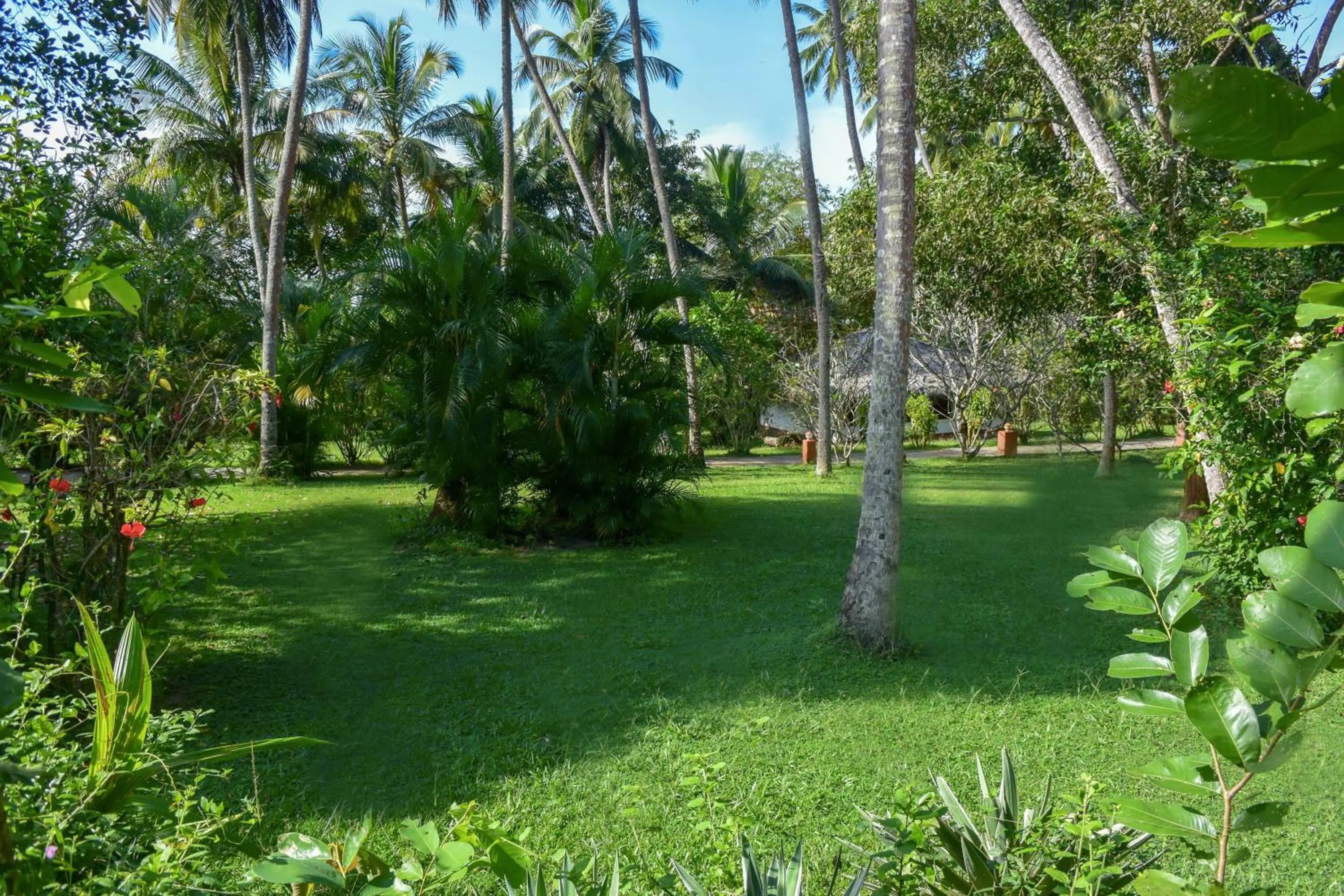 Garden view in Eva Lanka Hotel - Beach & Wellness