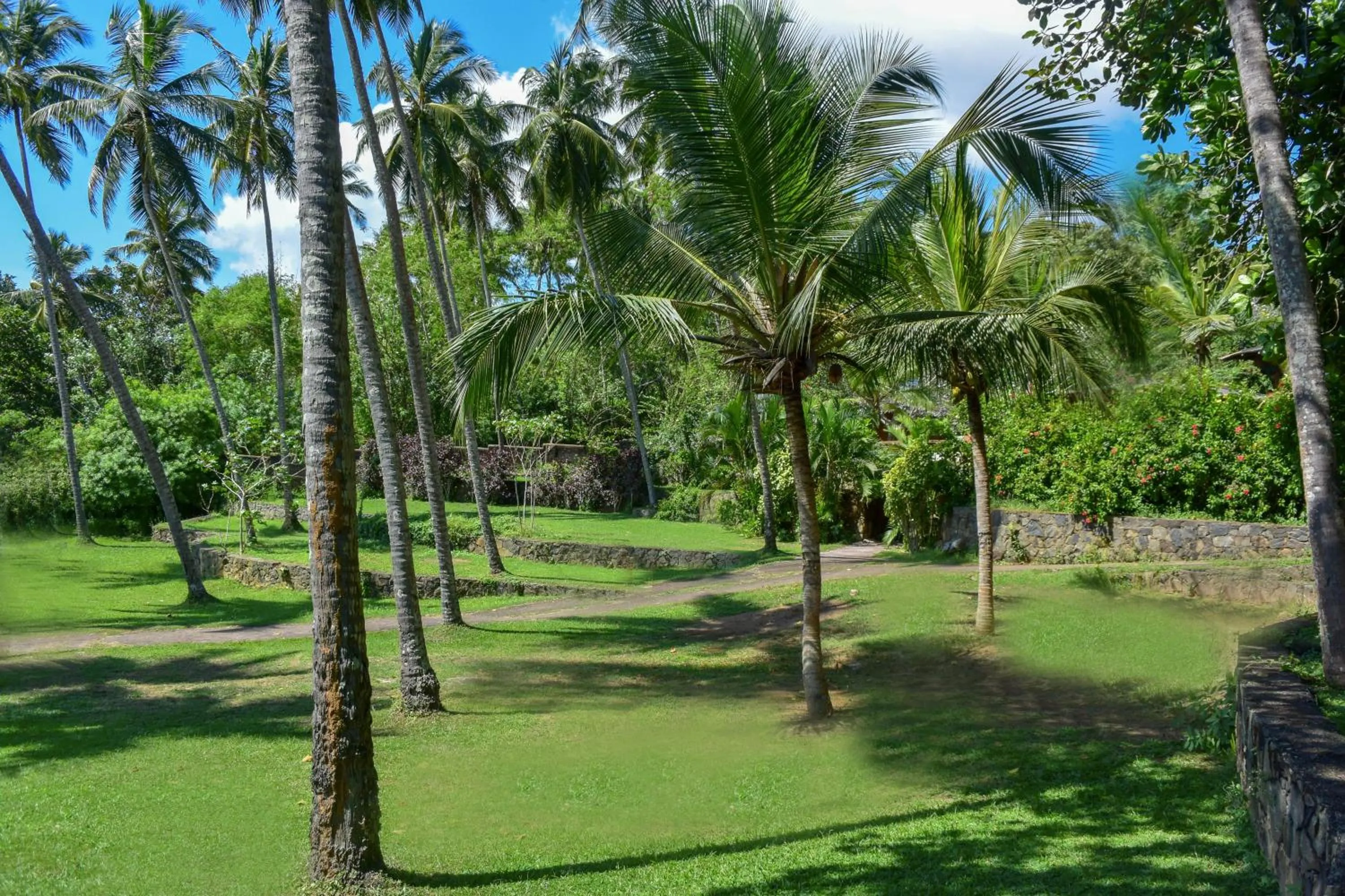 Garden view in Eva Lanka Hotel - Beach & Wellness
