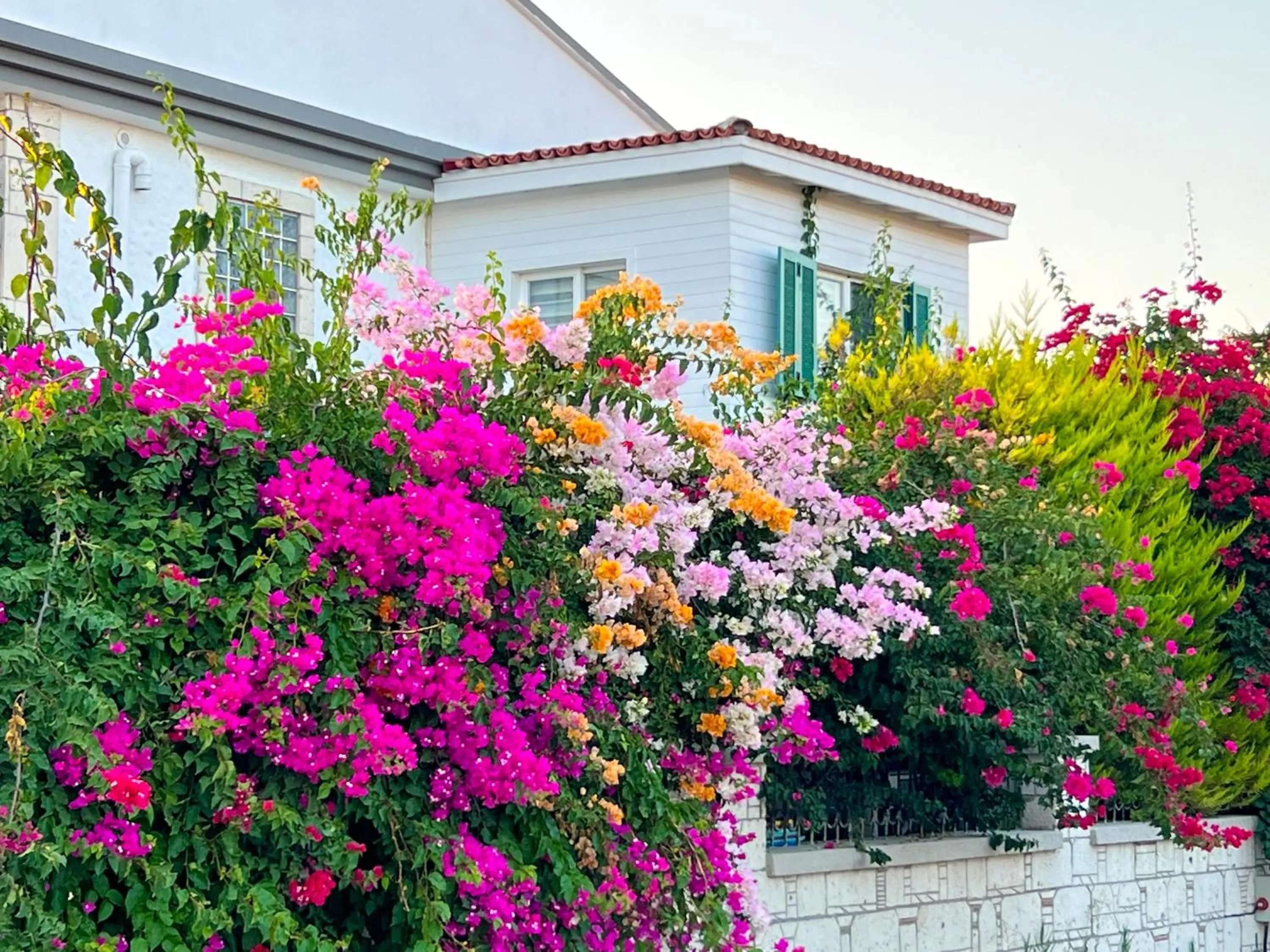 ALAÇATI XL LUXURY HOTEL