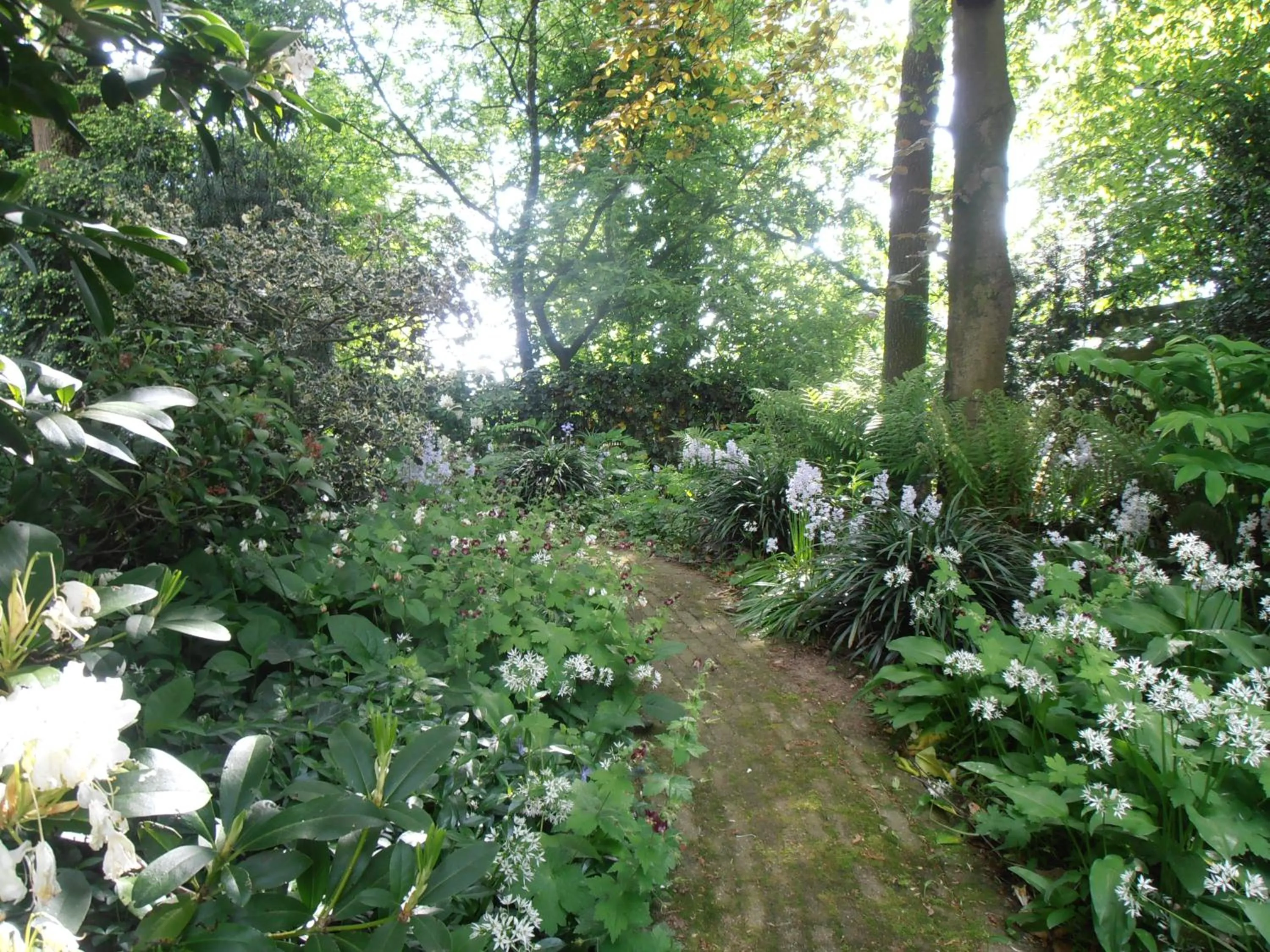 Garden in B&B Jossefin Tuinen